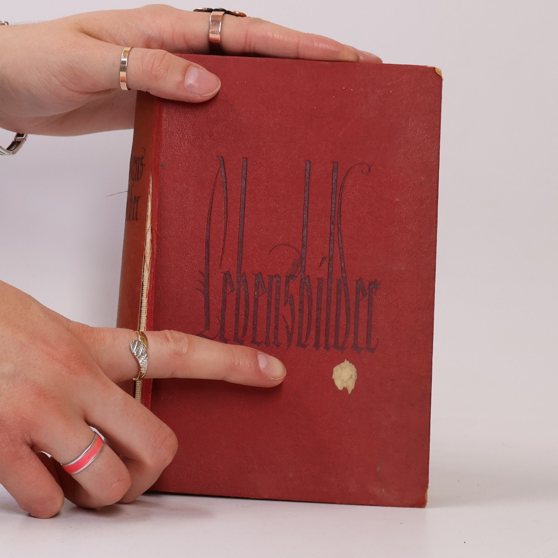 Various authors Lebensbilder