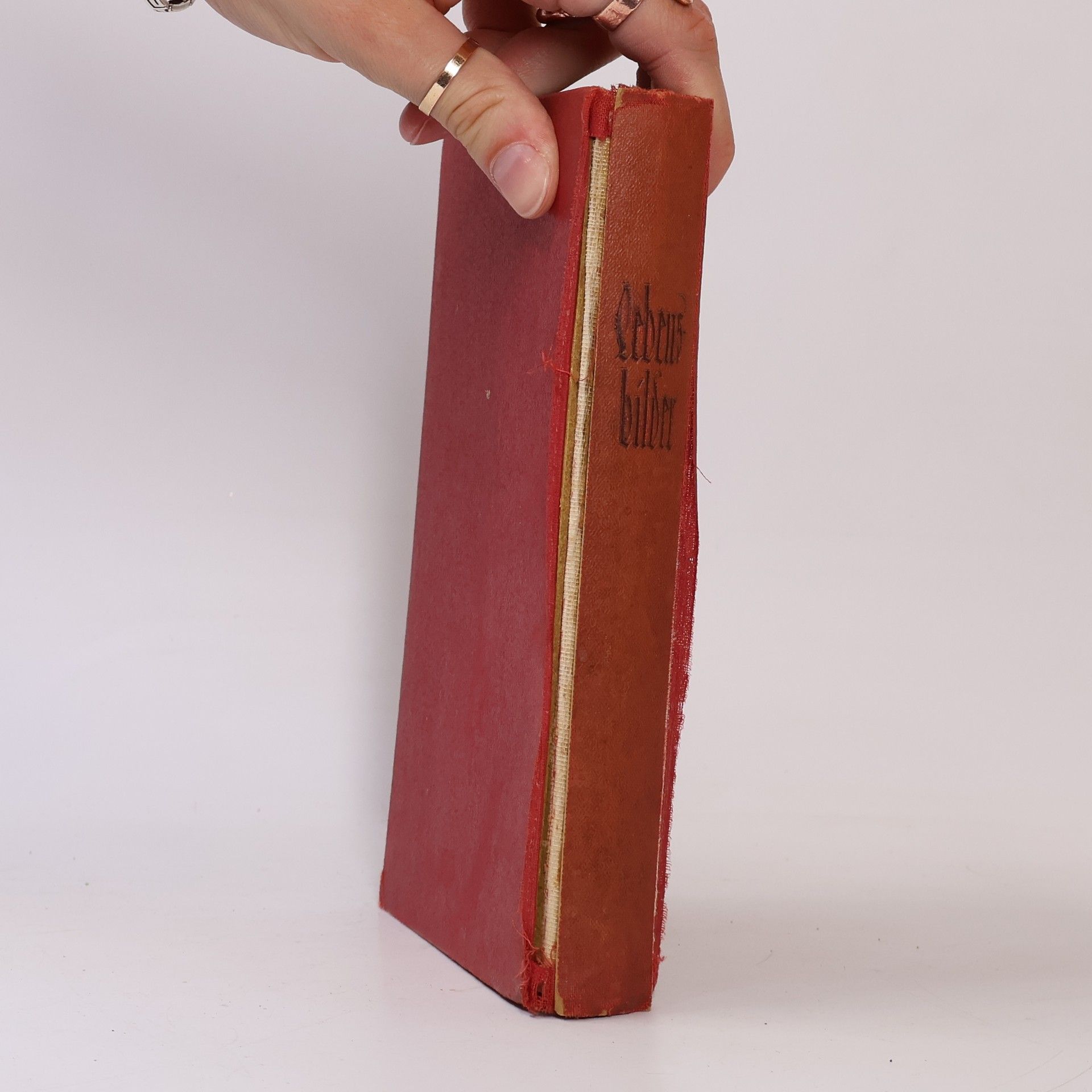 Various authors Lebensbilder