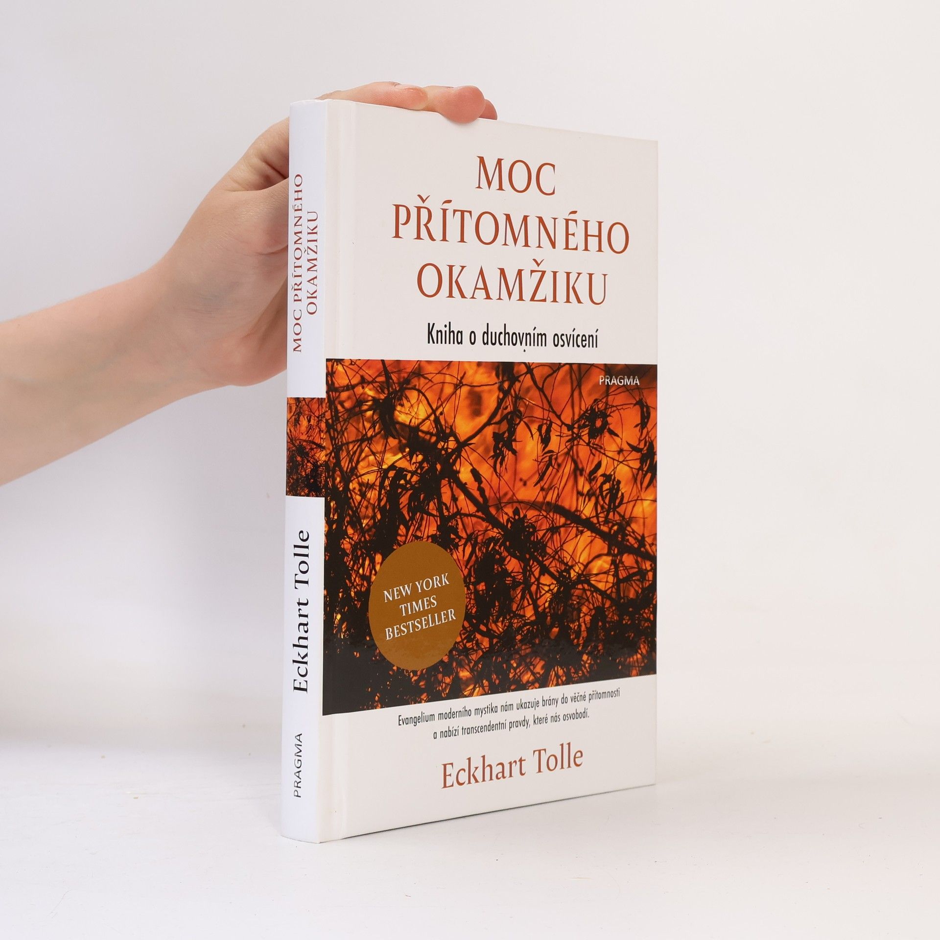 Eckhart Tolle Moc přítomného okamžiku