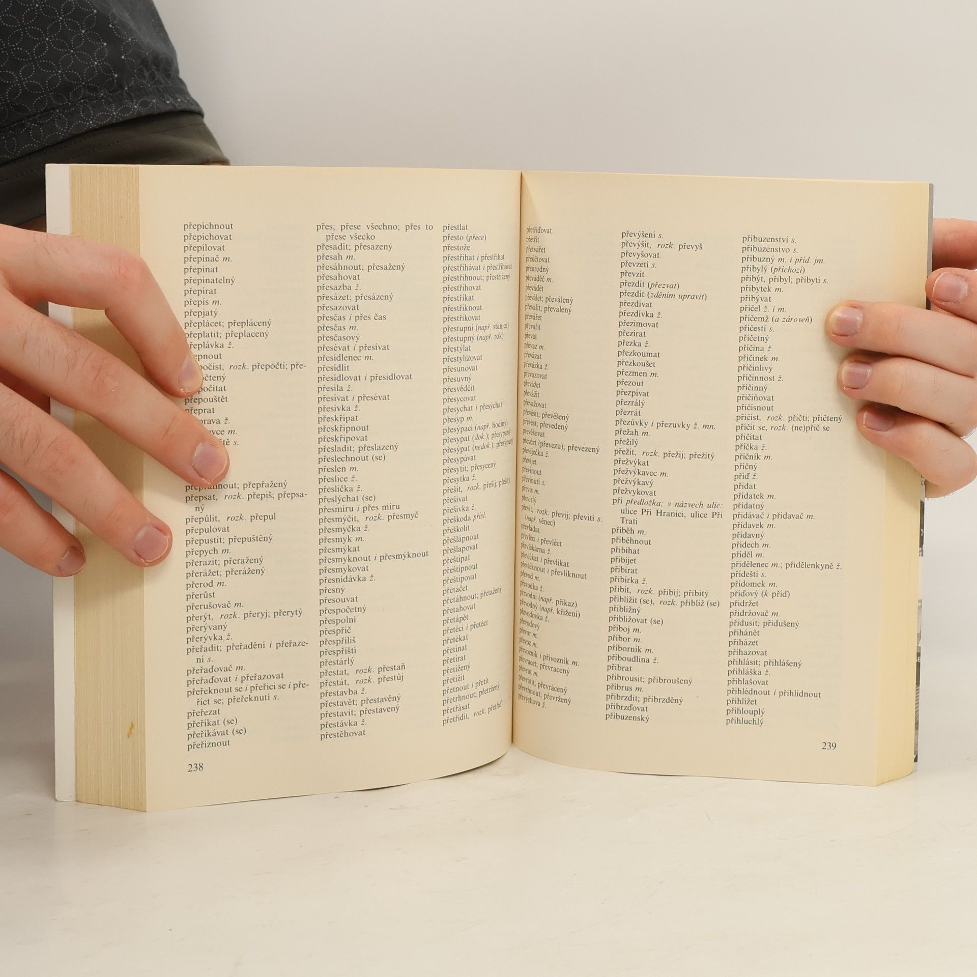 Collectif d'auteurs Pravidla českého pravopisu