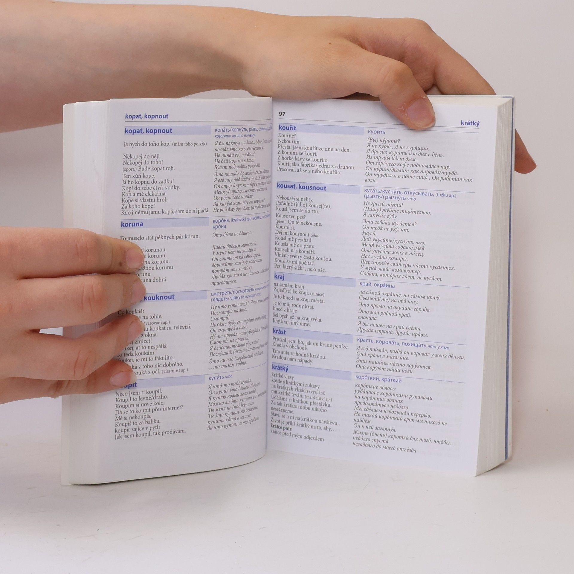 Various authors Česko-ruský mluvník