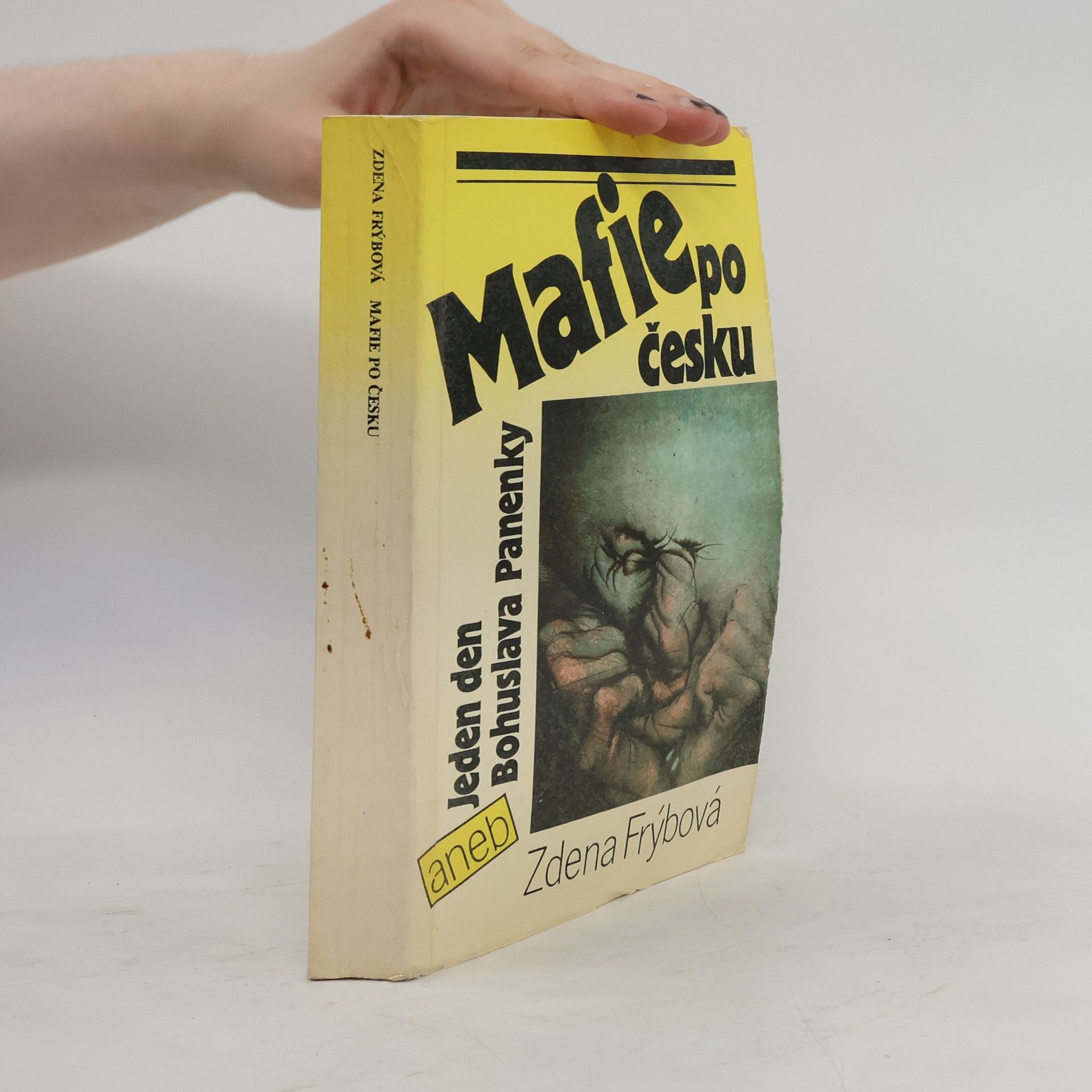Zdena Frýbová Mafie po česku