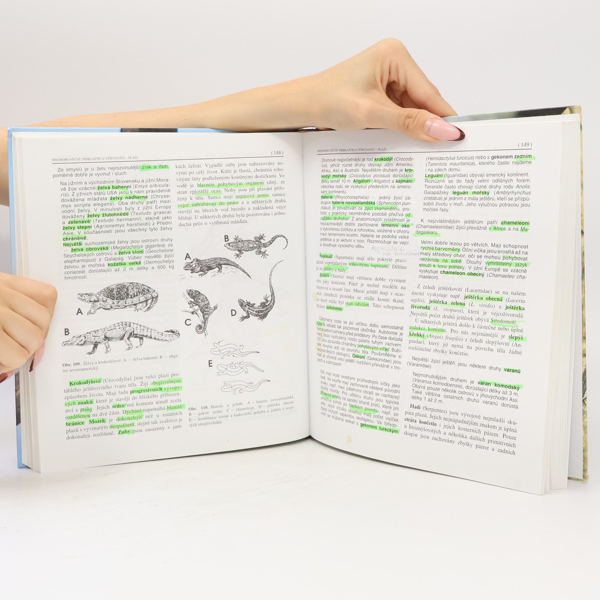 Miroslav Papáček Zoologie