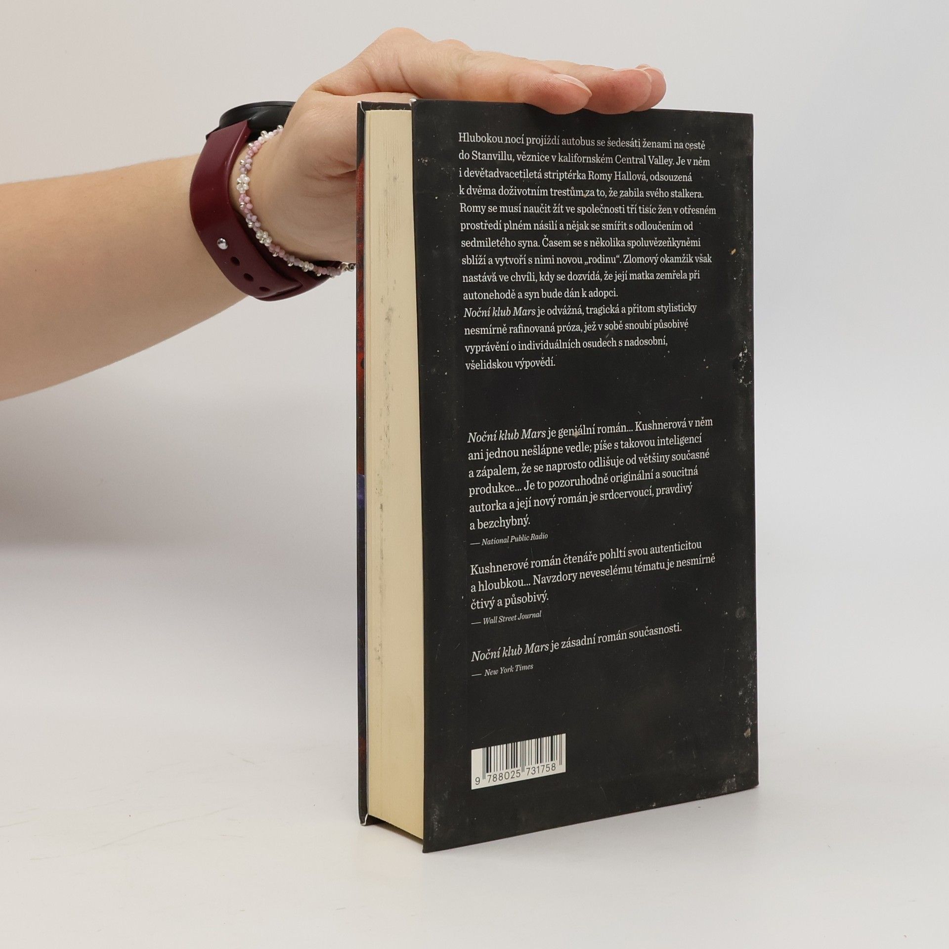 Rachel Kushner Noční klub Mars