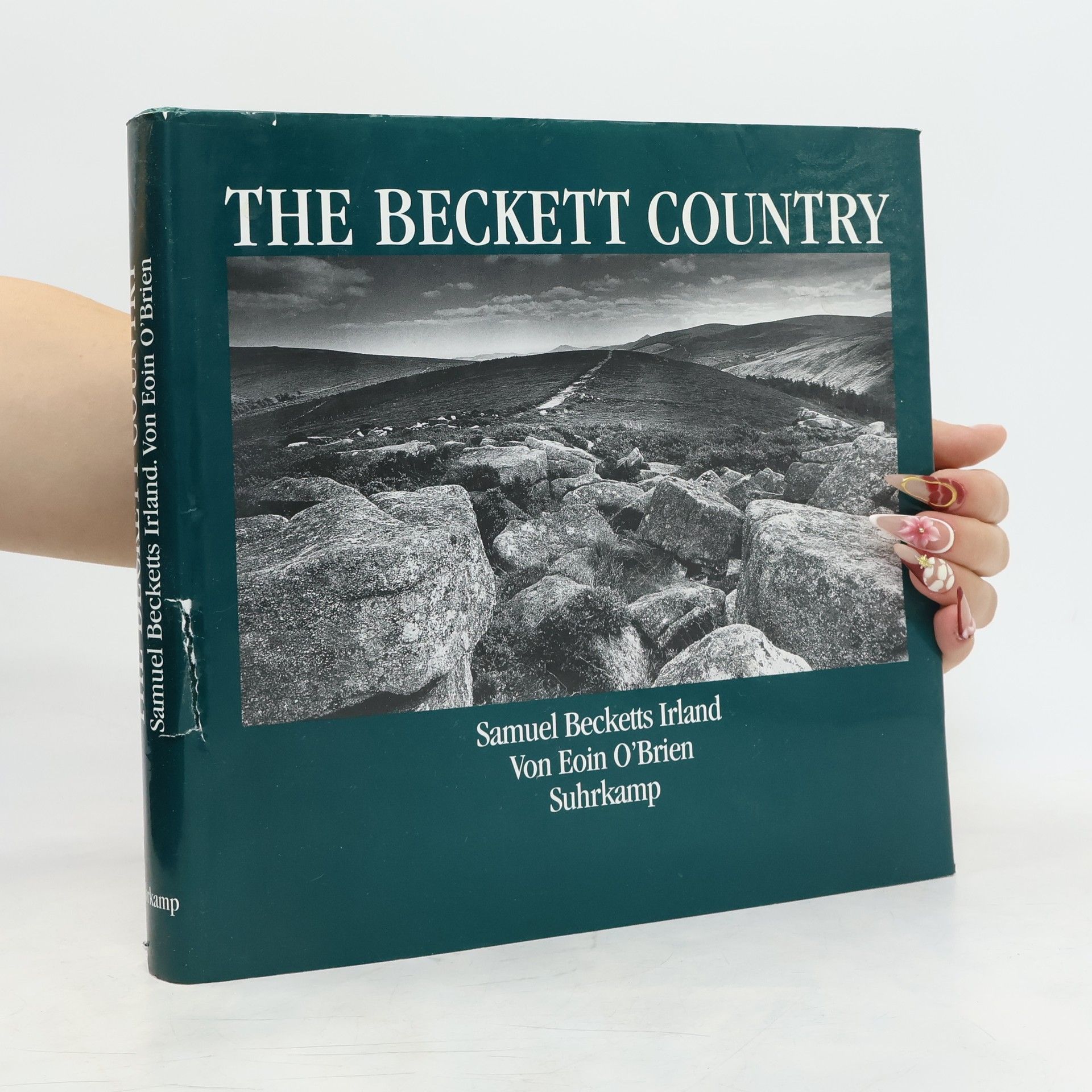 David H. Davison The Beckett Country