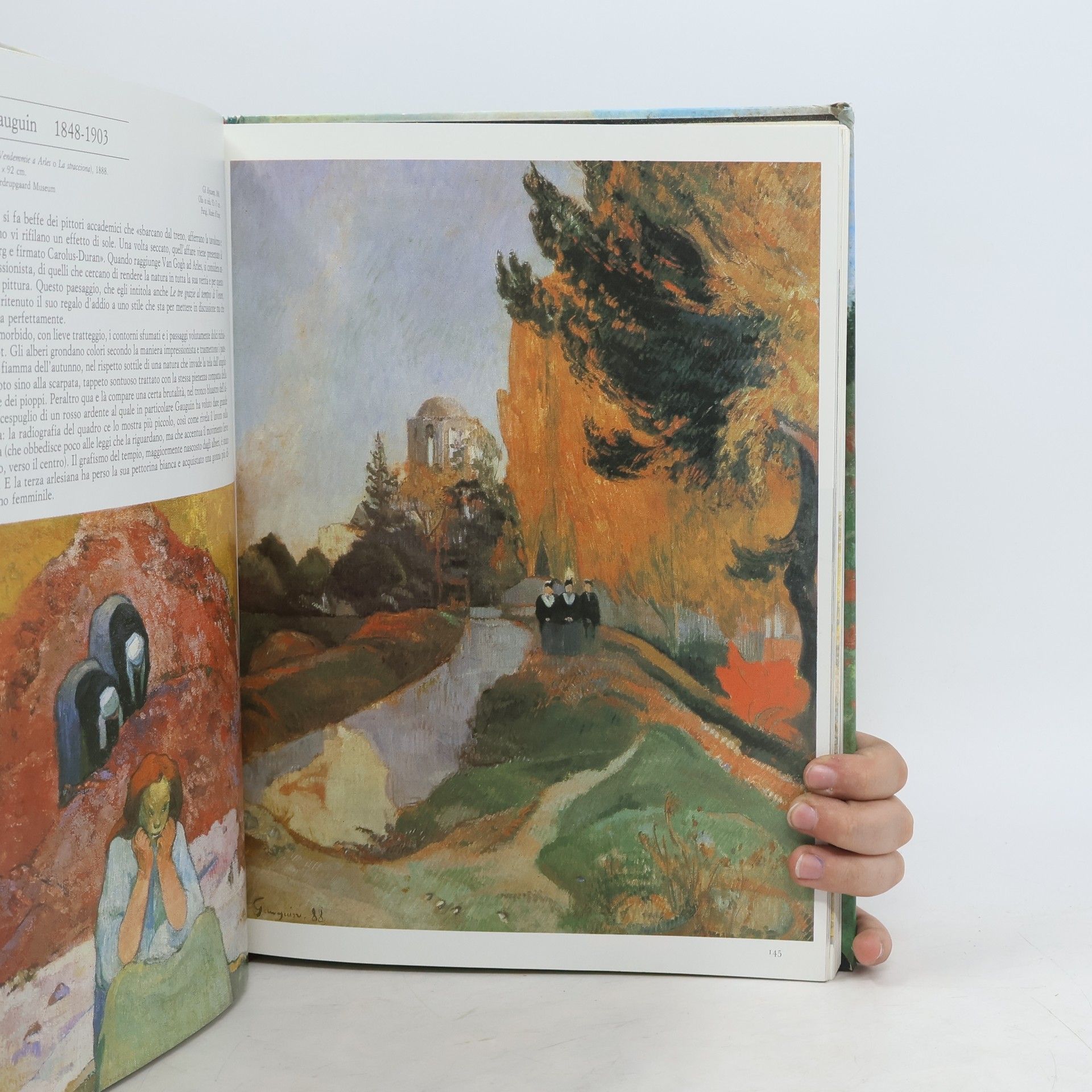 Dominque Spiess Libri immagine: Enciclopedia degli Impressionisti. Ediz. illustrata
