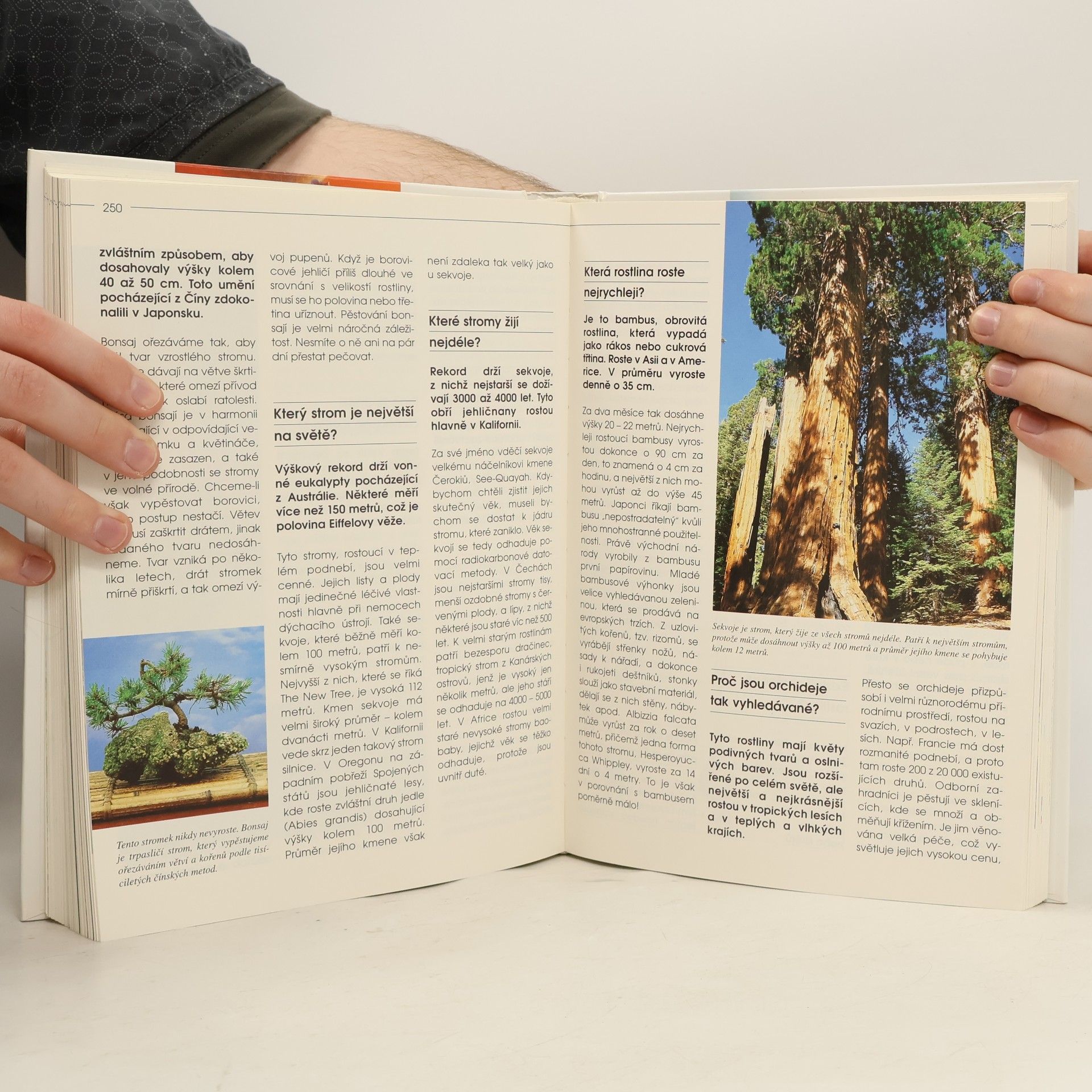 Various authors 1001 otázek a odpovědí na vše kolem nás