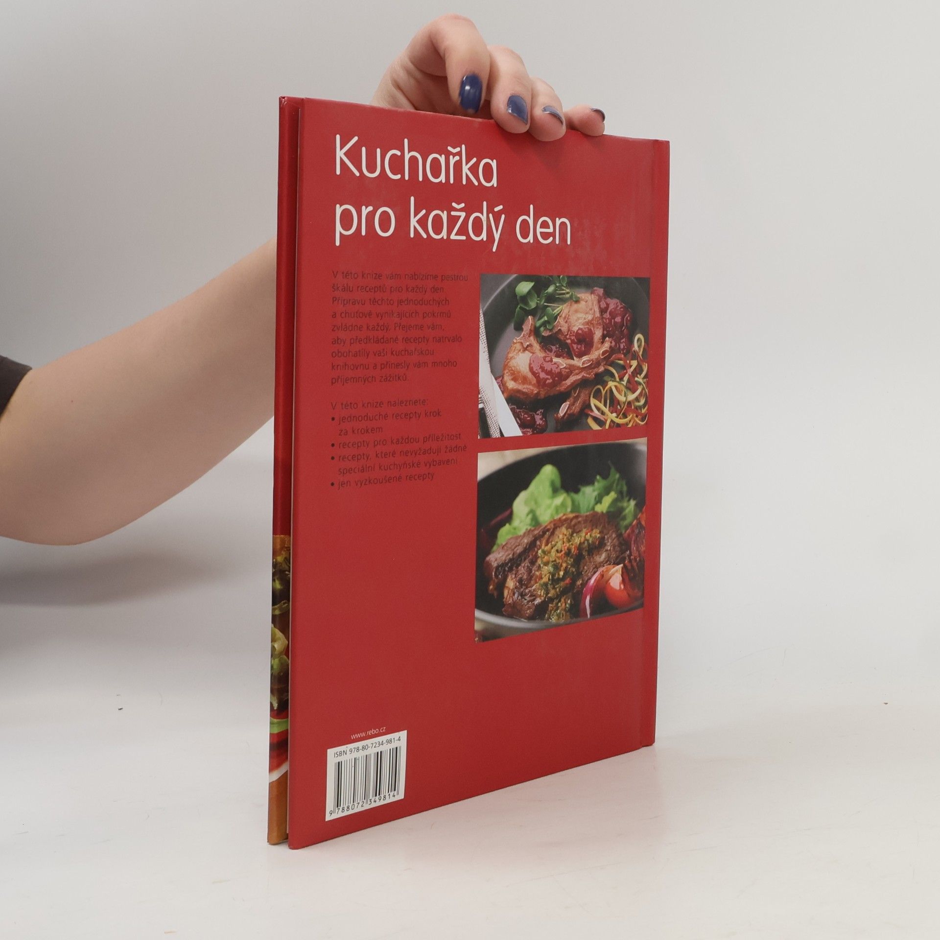 Kolektiv autorů Kuchařka pro každý den