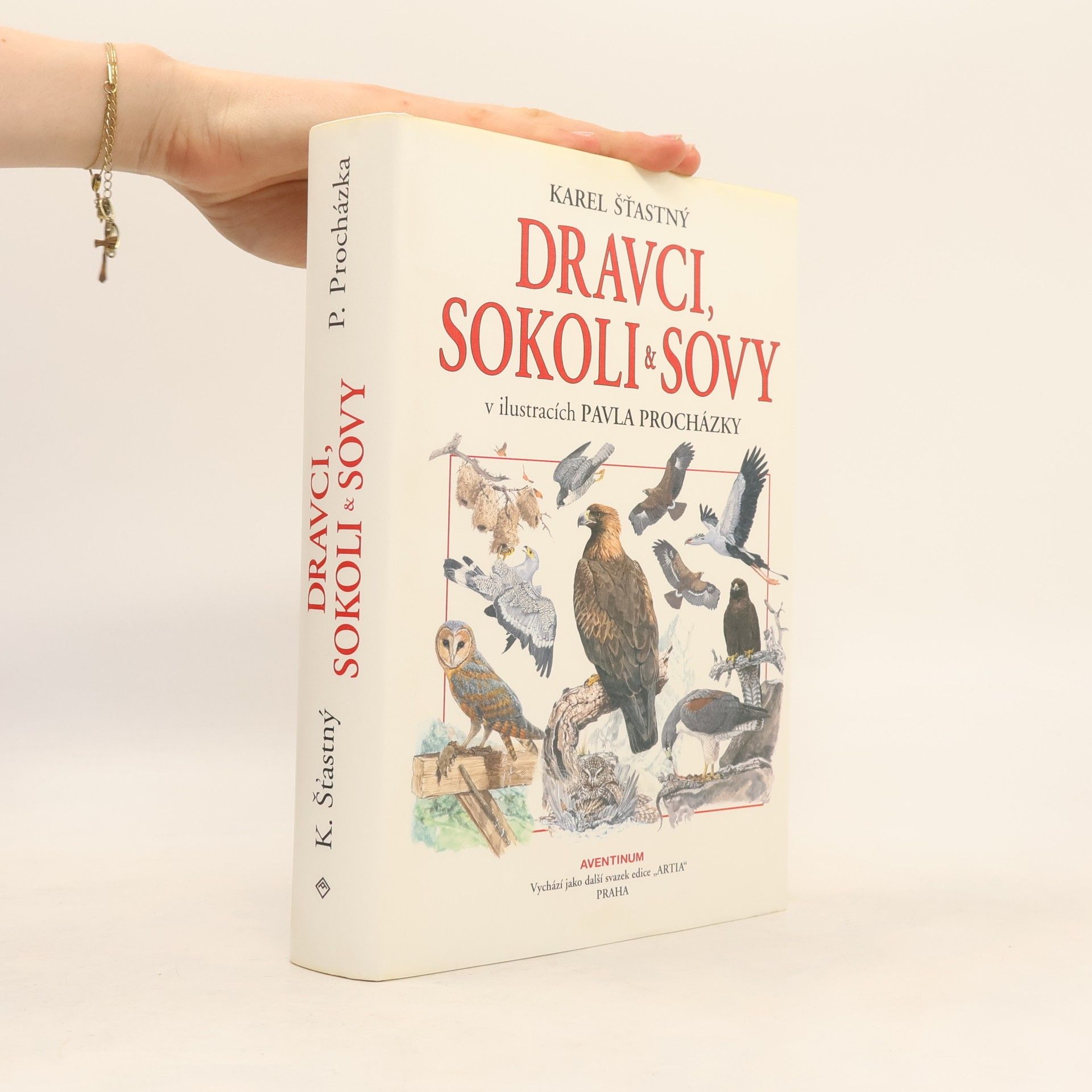 Karel Šťastný Dravci, sokoli & sovy: V ilustracích Pavla Procházky