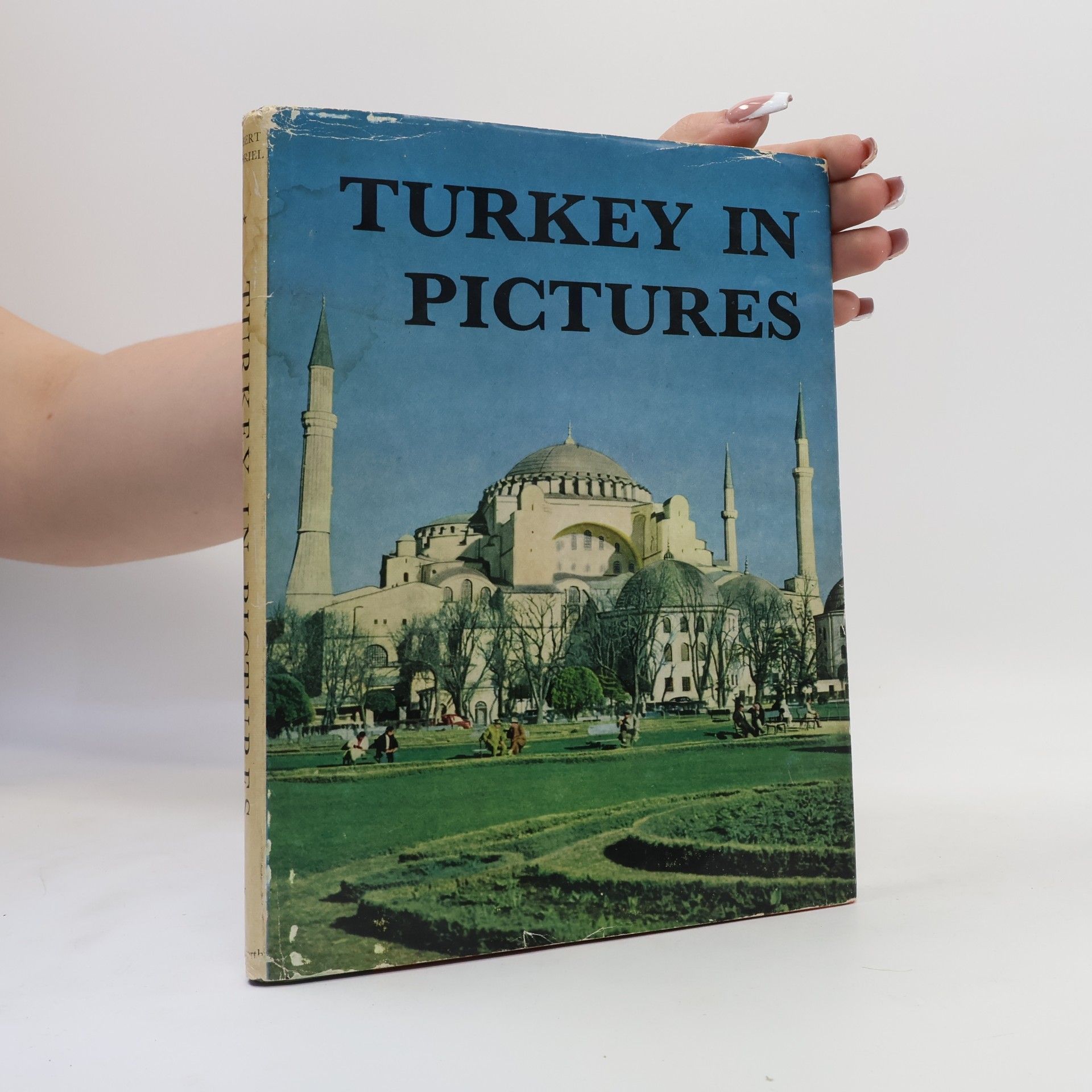 Kolektív autorov Turkey in Pictures
