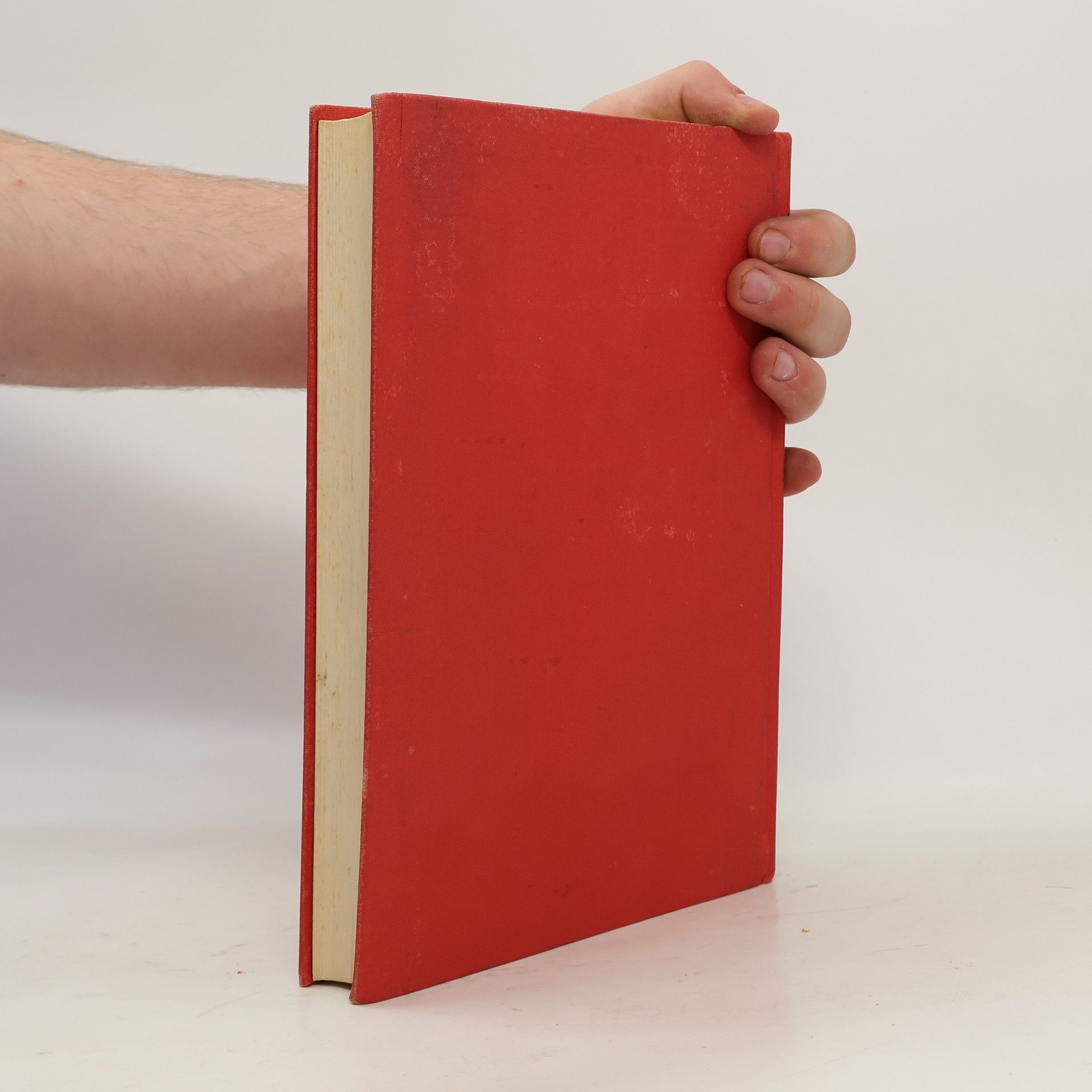 Ernst Werner Österreichs Wiege – Der Amstettner Raum