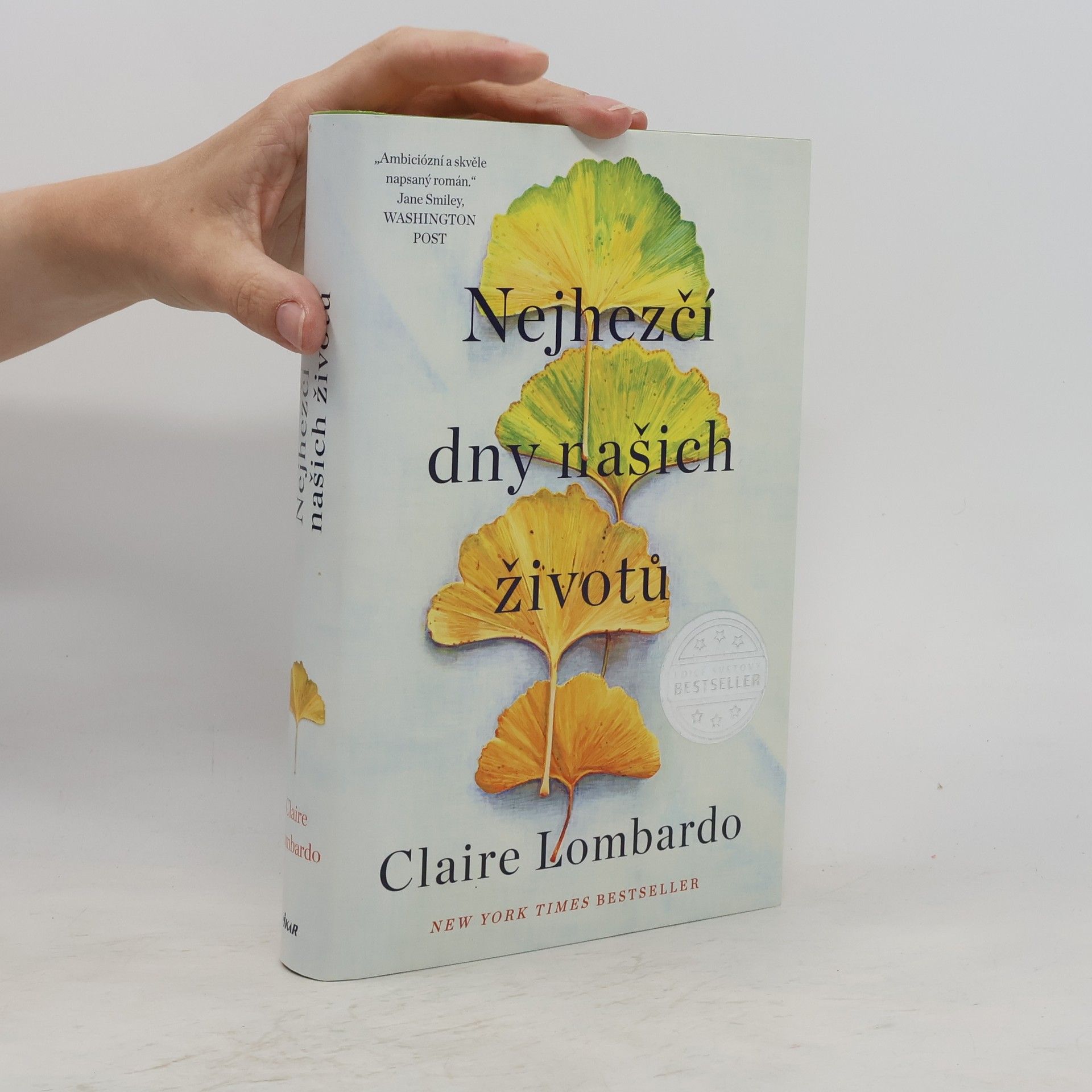Claire Lombardo Nejhezčí dny našich životů