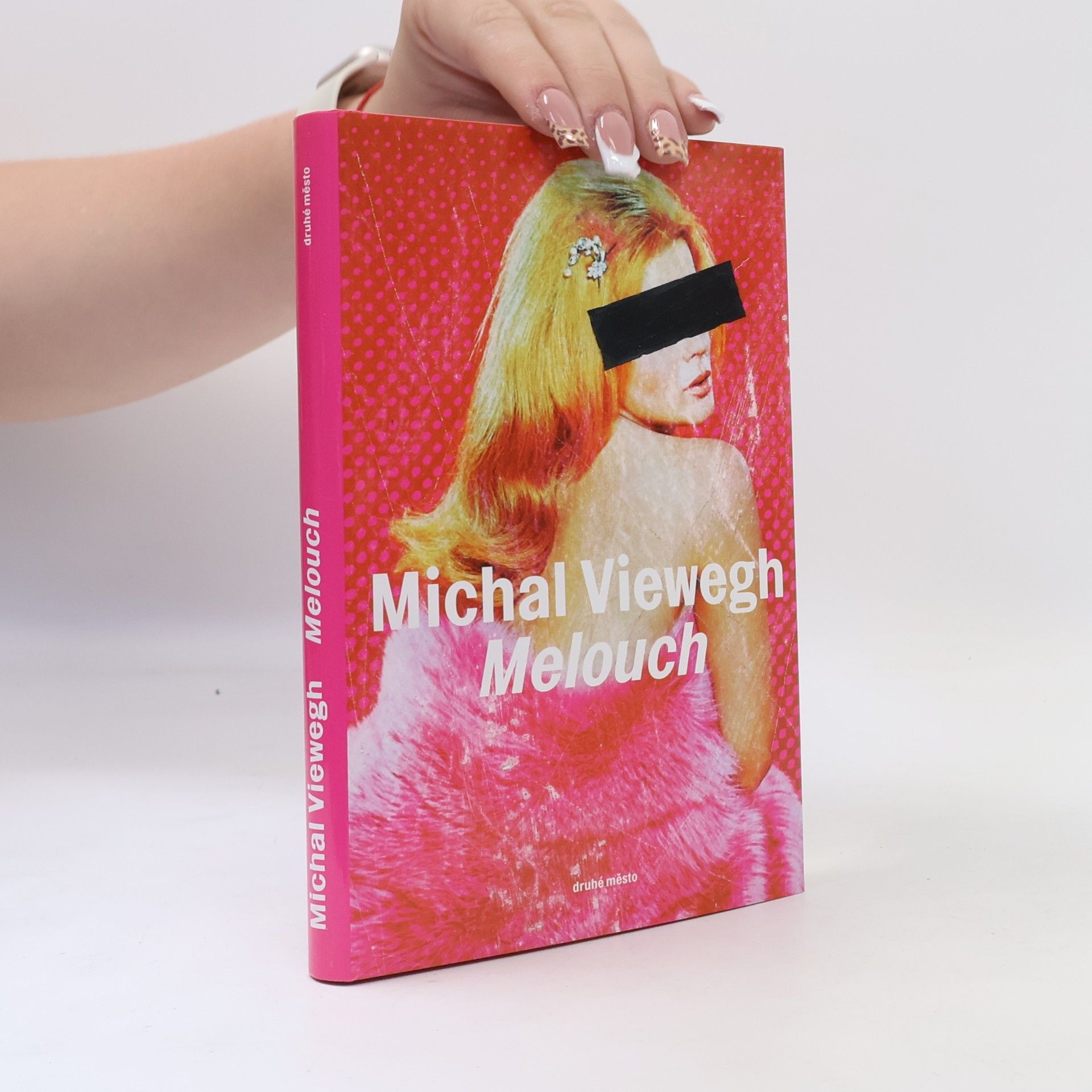 Michal Viewegh Melouch