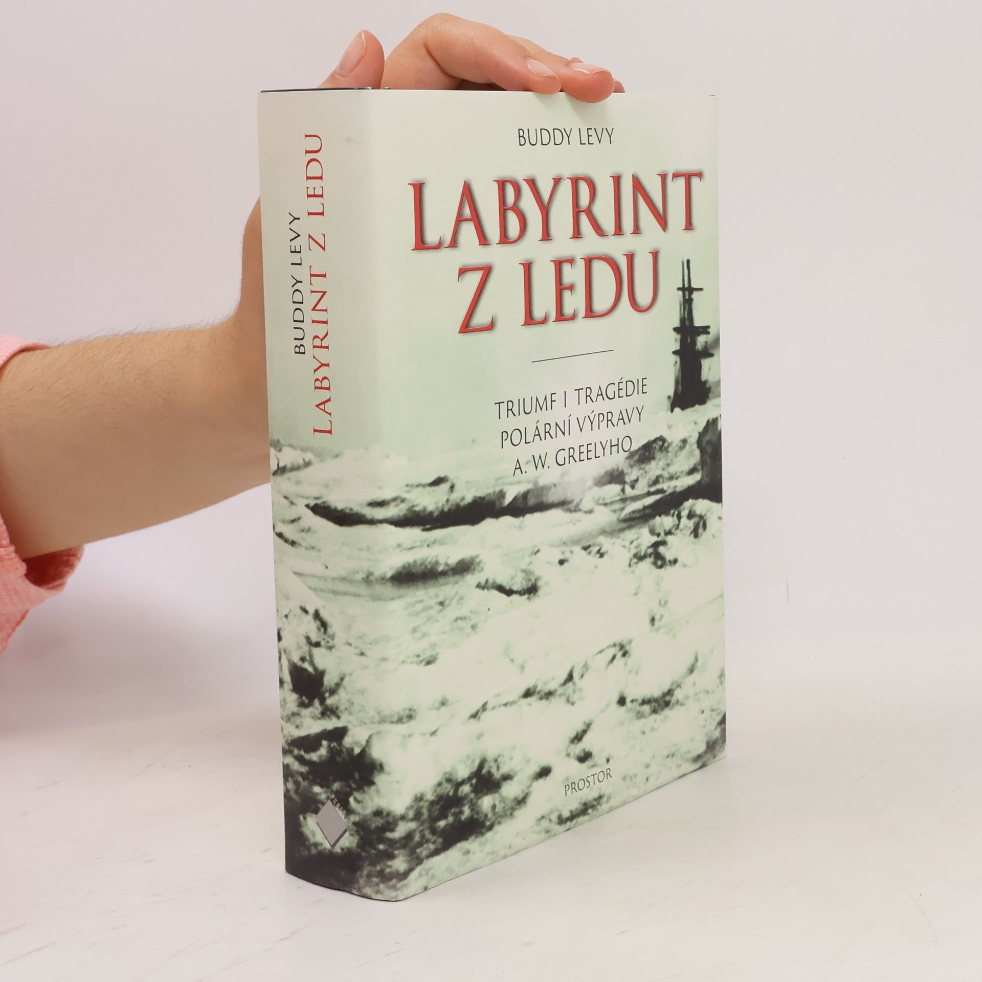Buddy Levy Labyrint z ledu