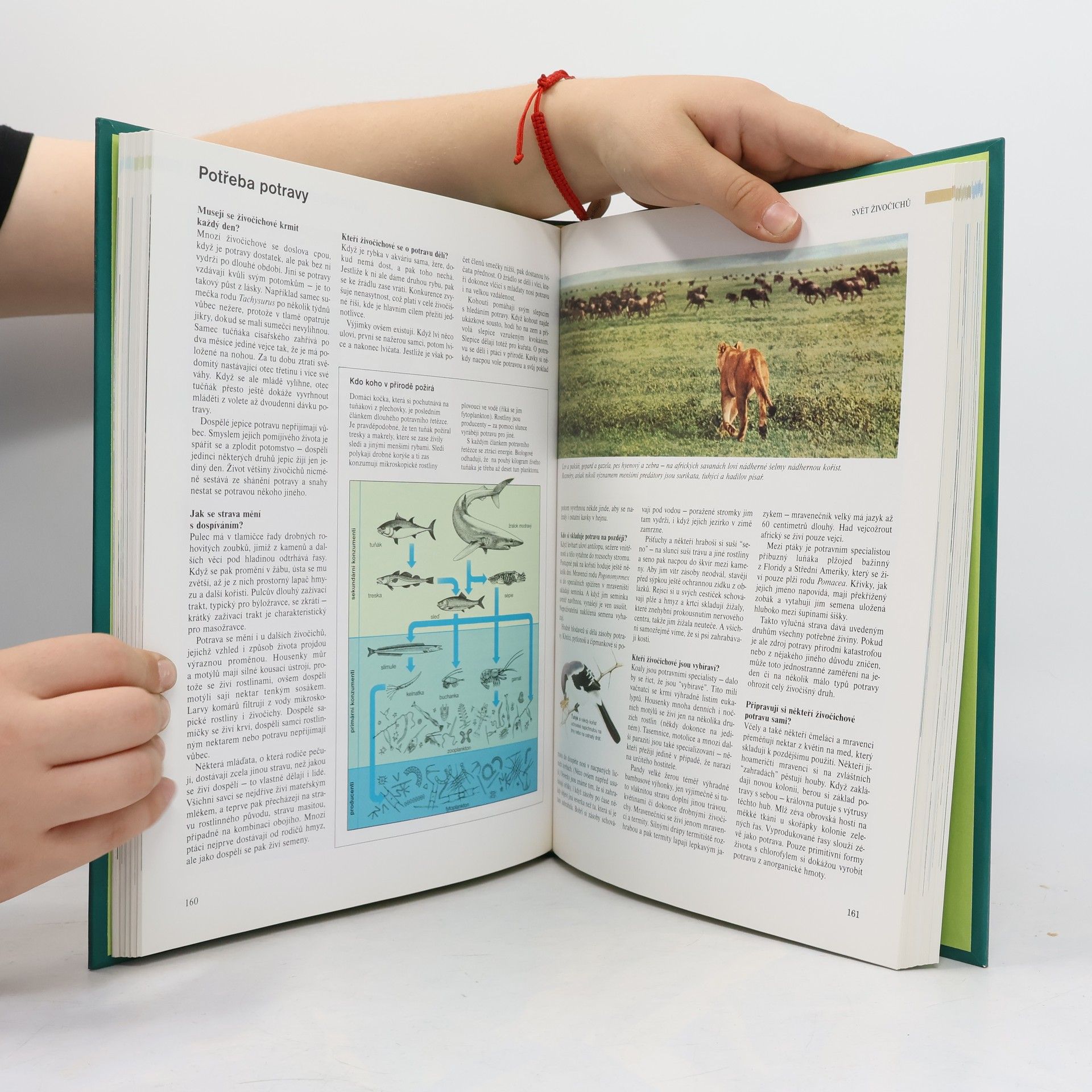 Various authors ABC přírody. Svět v otázkách a odpovědích