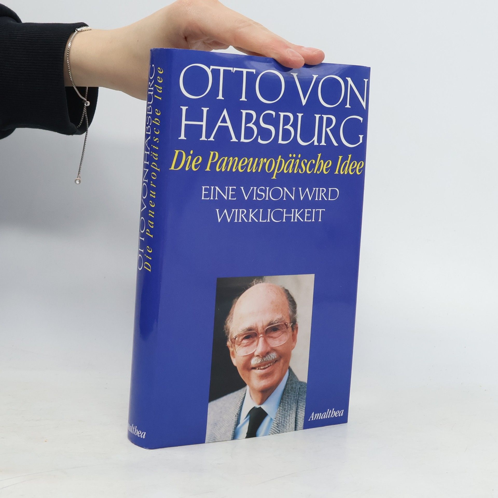 Die paneuropäische Idee