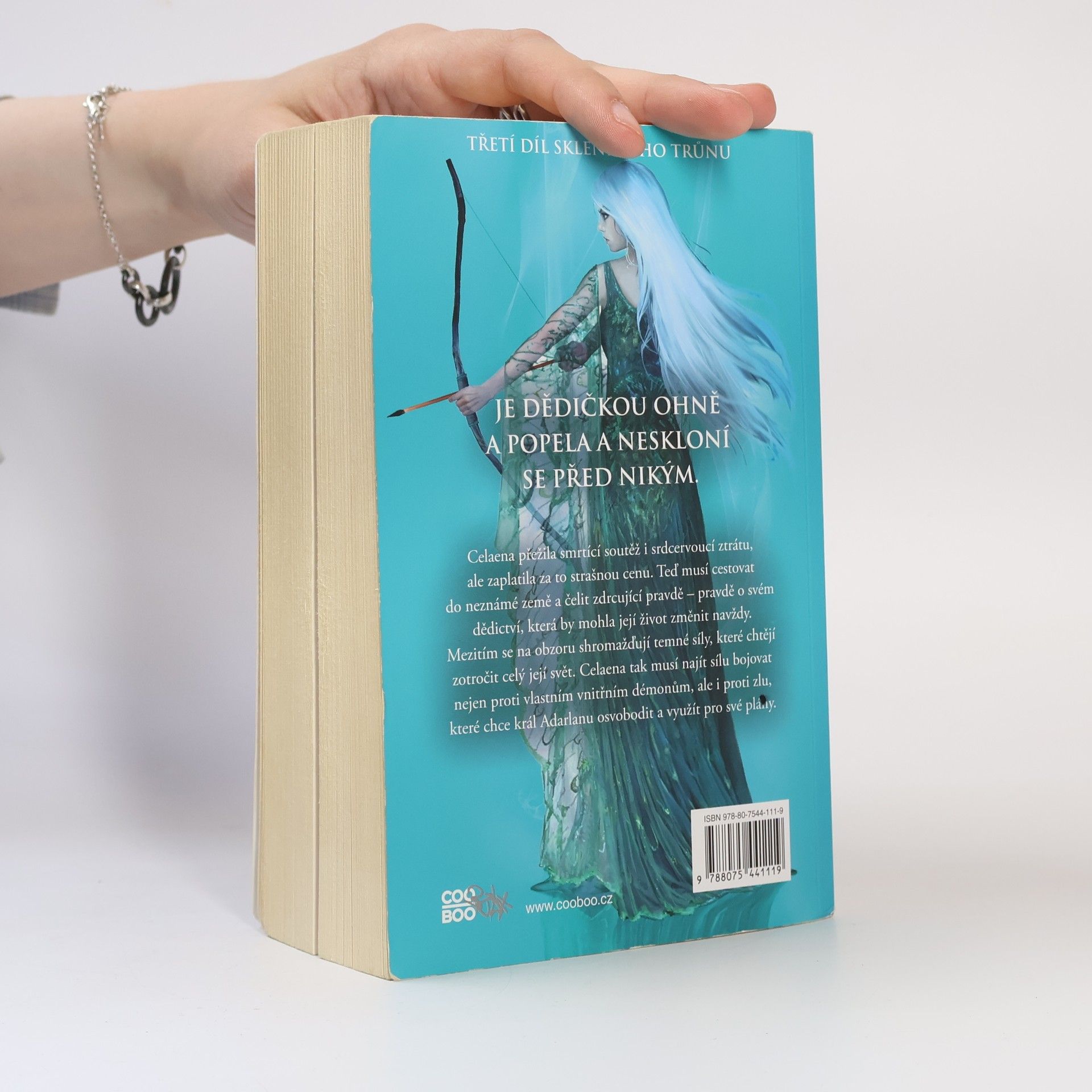 Sarah J. Maas Dědička ohně