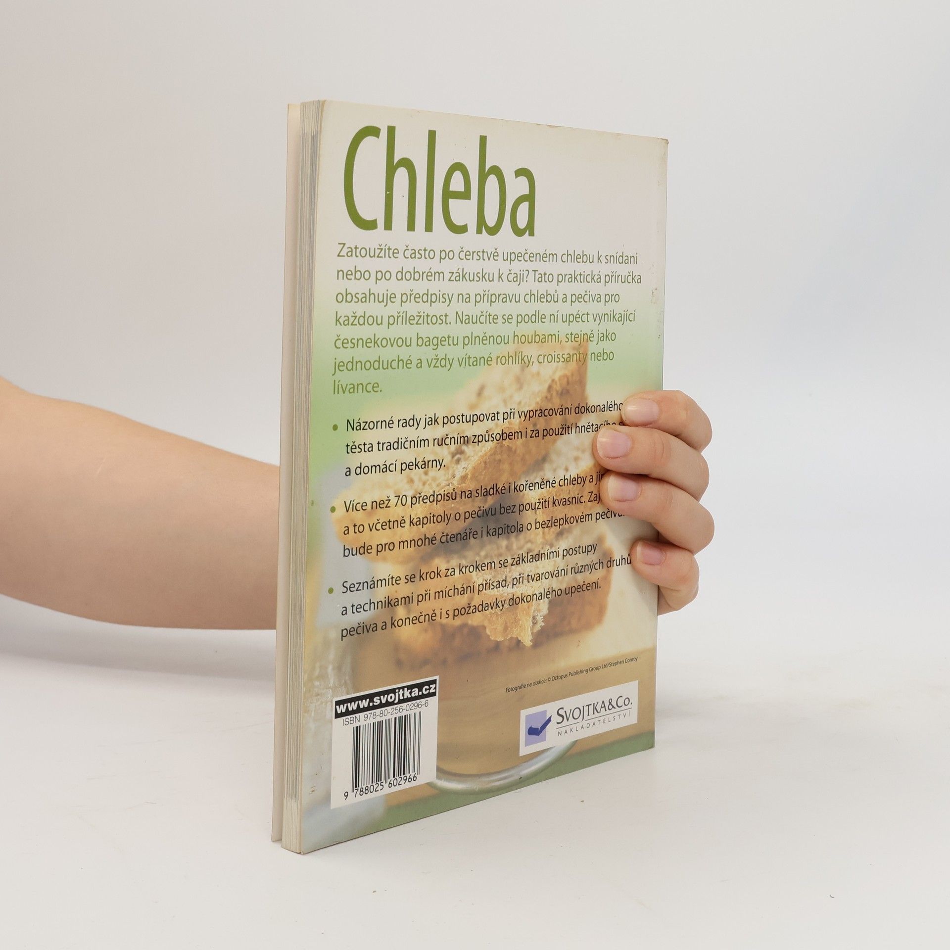 Sara Lewis Chleba - Praktická příručka o pečení chleba a pečiva