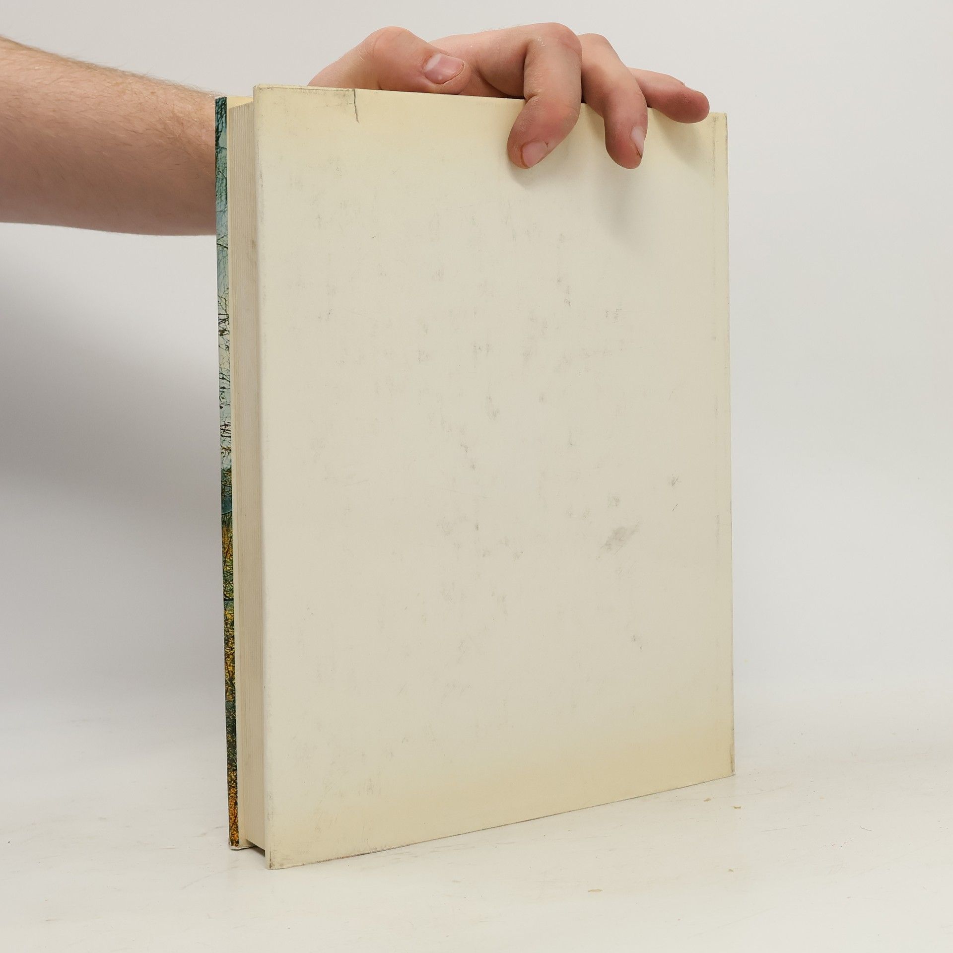 Inge Lindt Das Buch vom Salzburger Land
