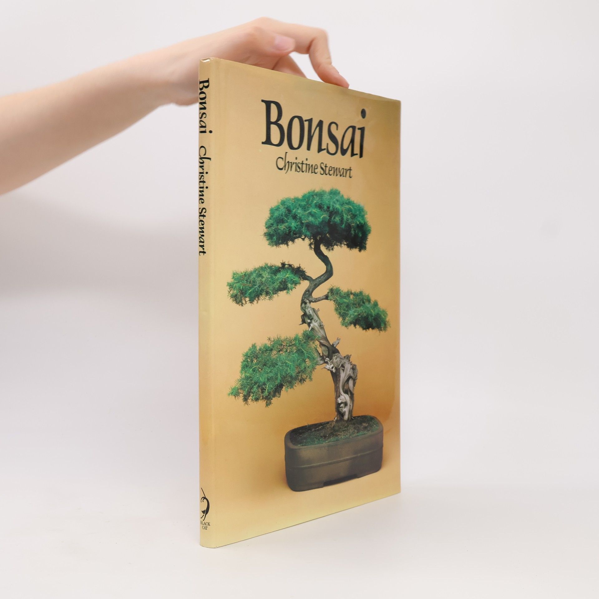 Christine Stewart Bonsai