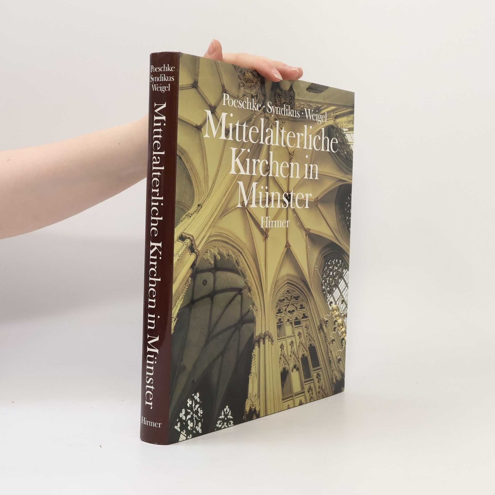 Joachim Poeschke Mittelalterliche Kirchen in Münster