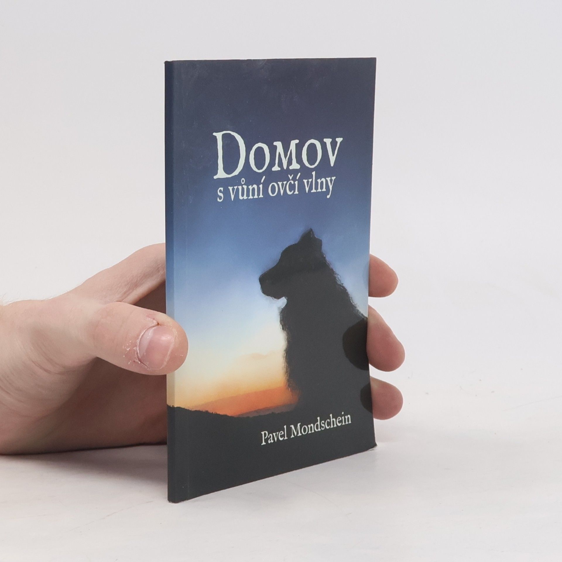 Pavel Mondschein Domov s vůní ovčí vlny