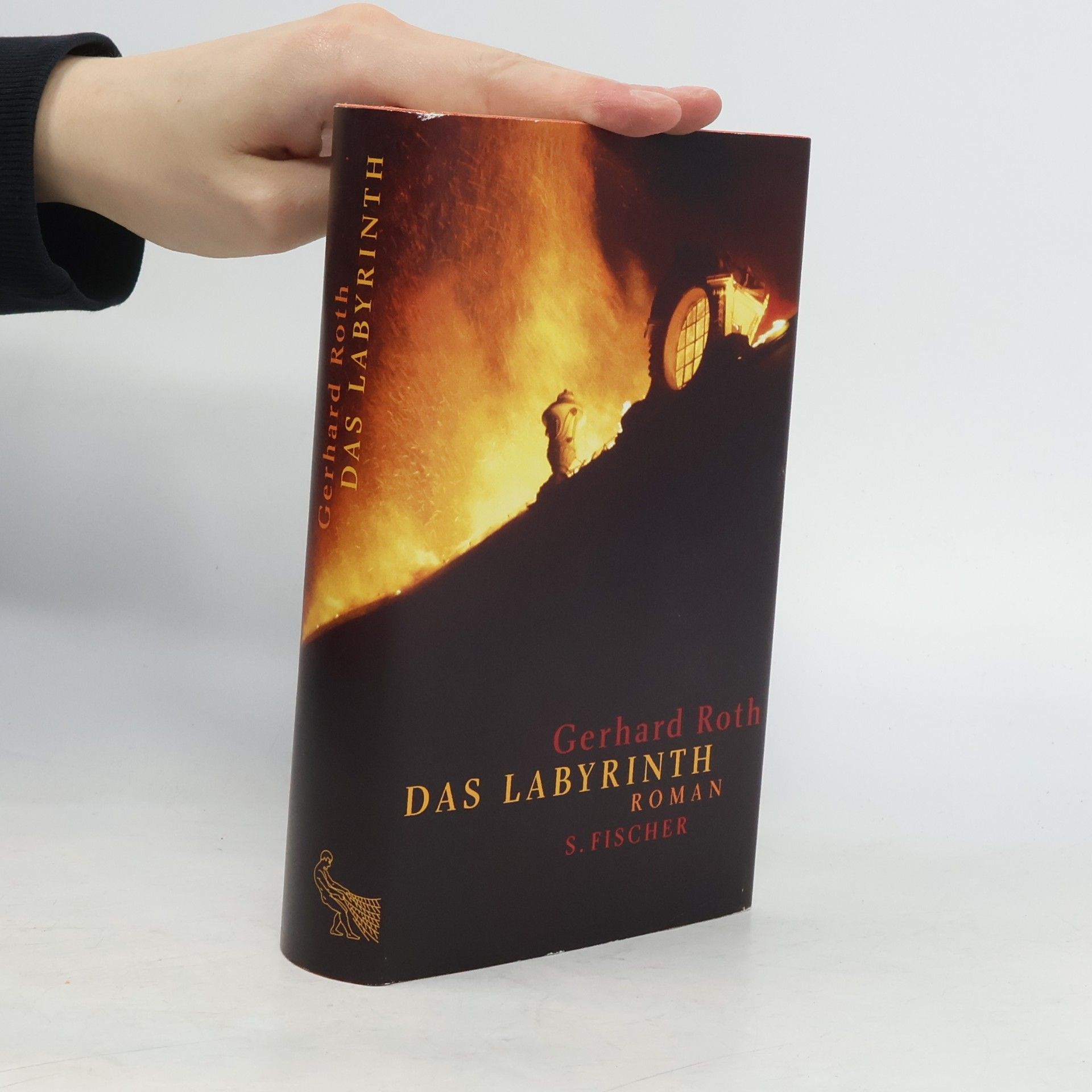 Gerhard Roth Das Labyrinth