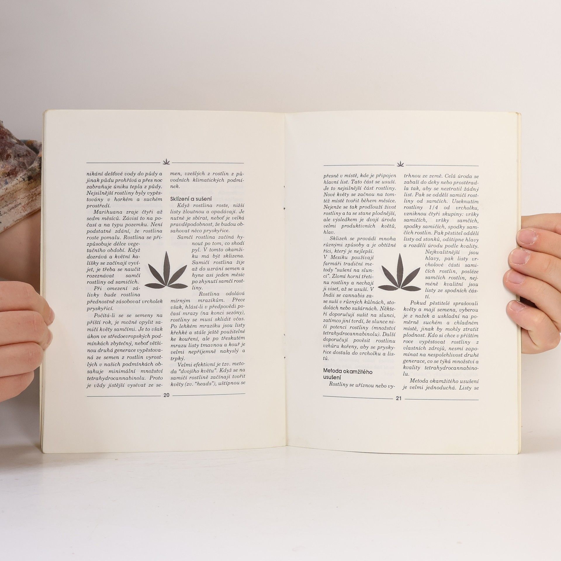 Eliáš Breyk Cannabis