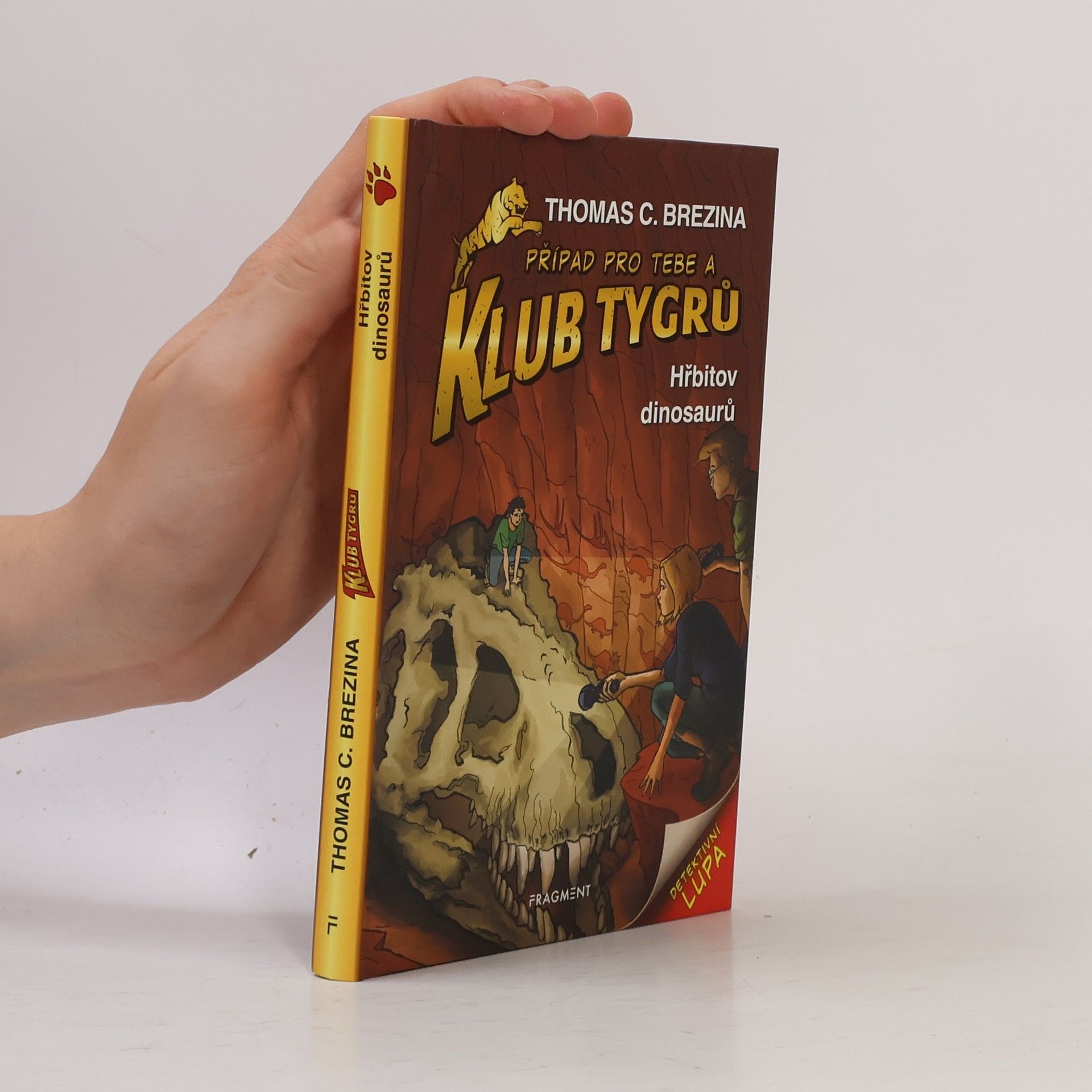 Hřbitov dinosaurů