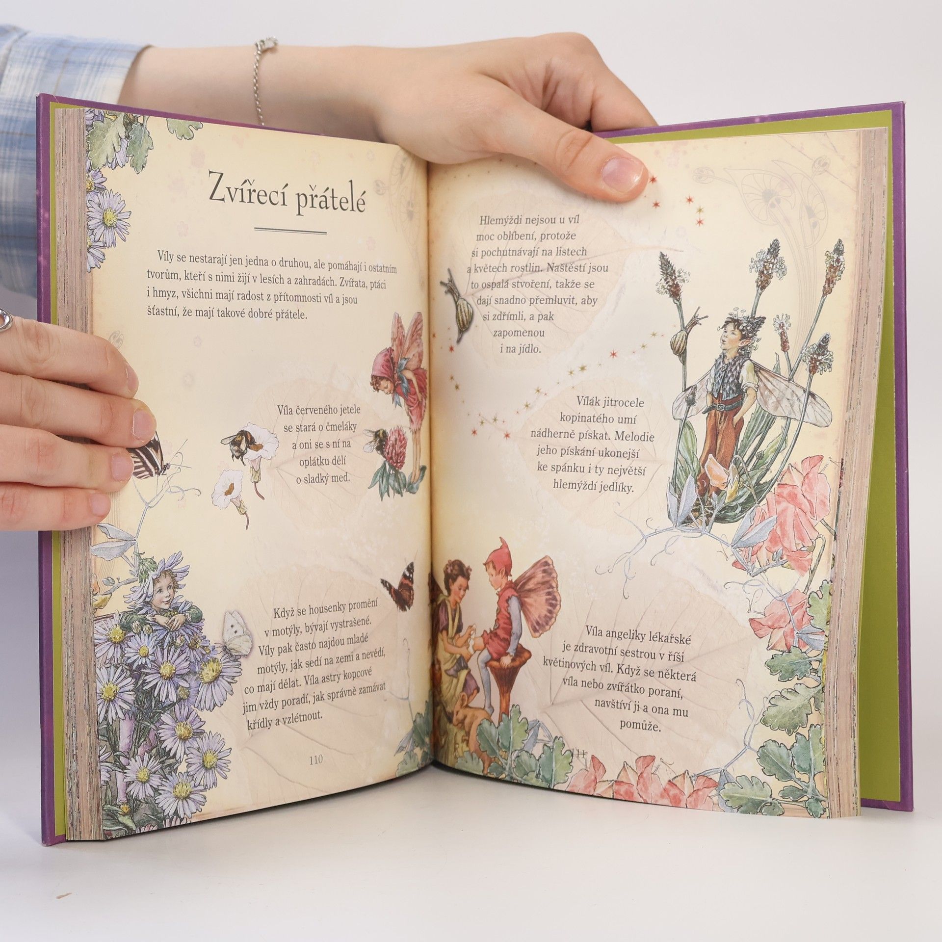 Cicely Mary Barker Květinové víly a jejich tajemný svět