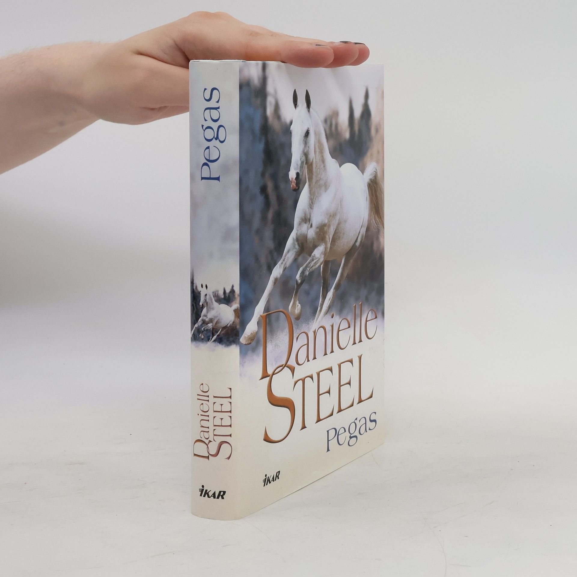 Danielle Steel Pegas