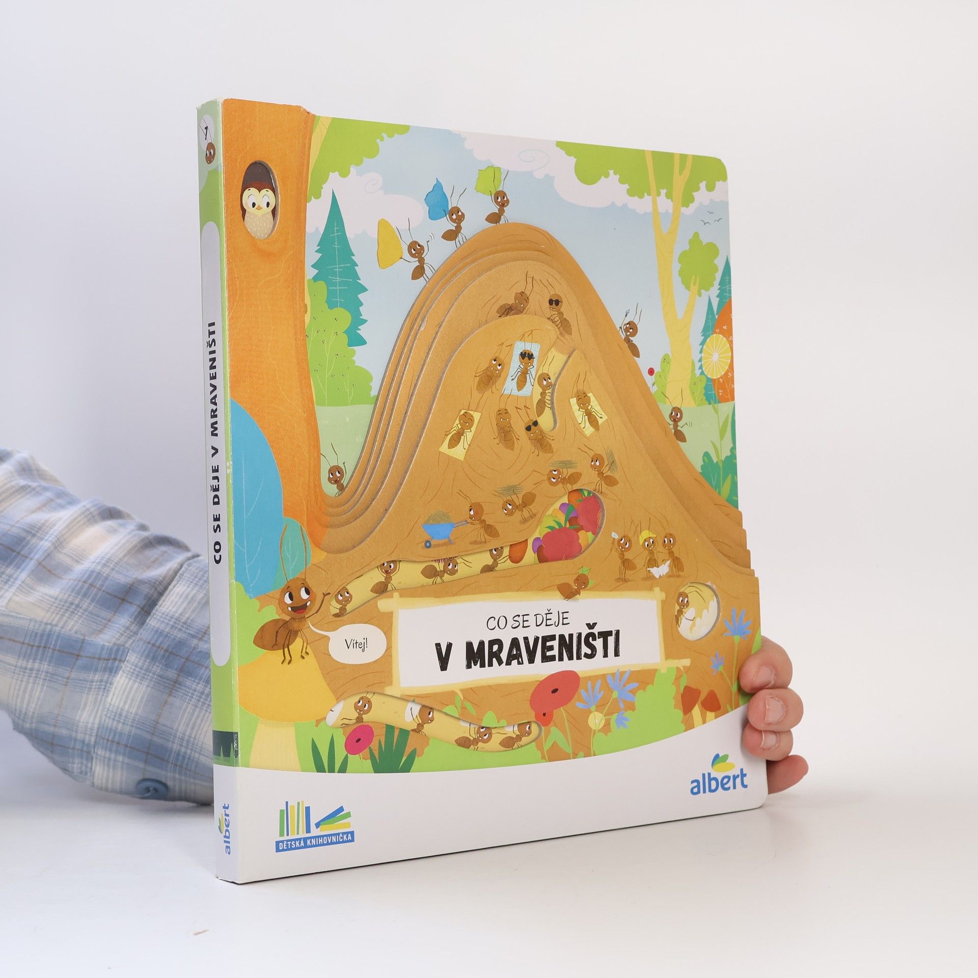 Auteurscollectief Co se děje v mraveništi