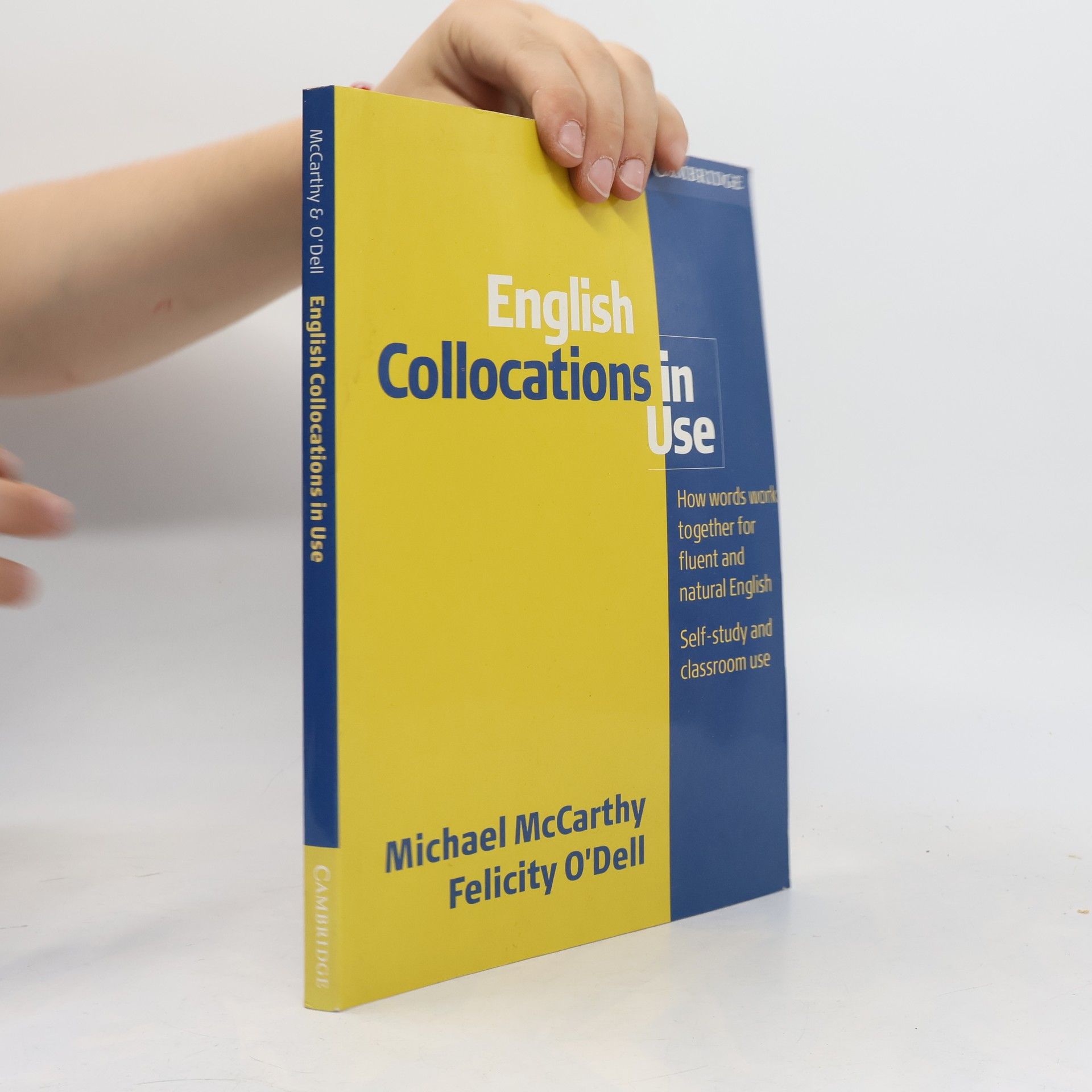 Michael Mc Carthy English collocations in use