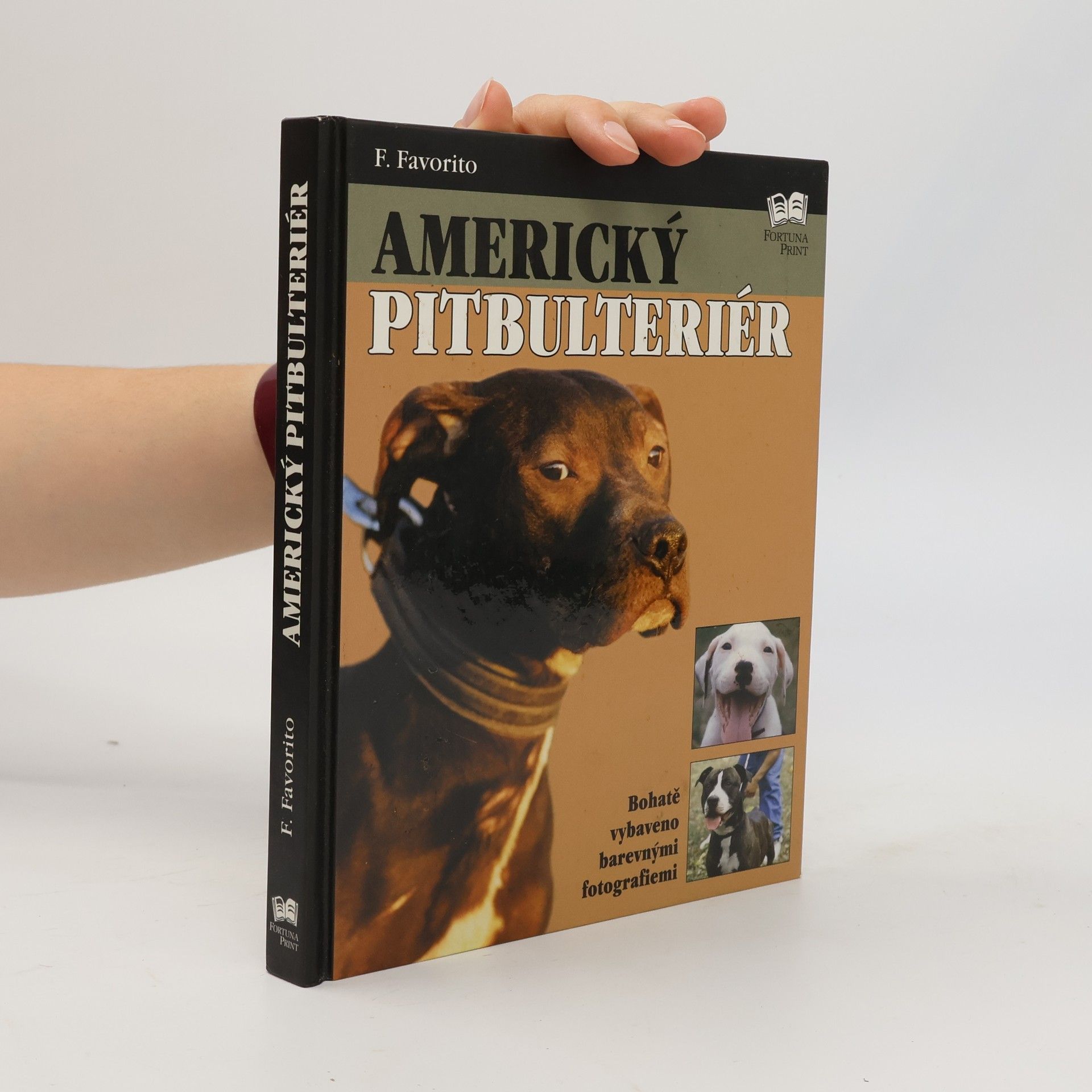 F. Favorito Americký pitbulteriér
