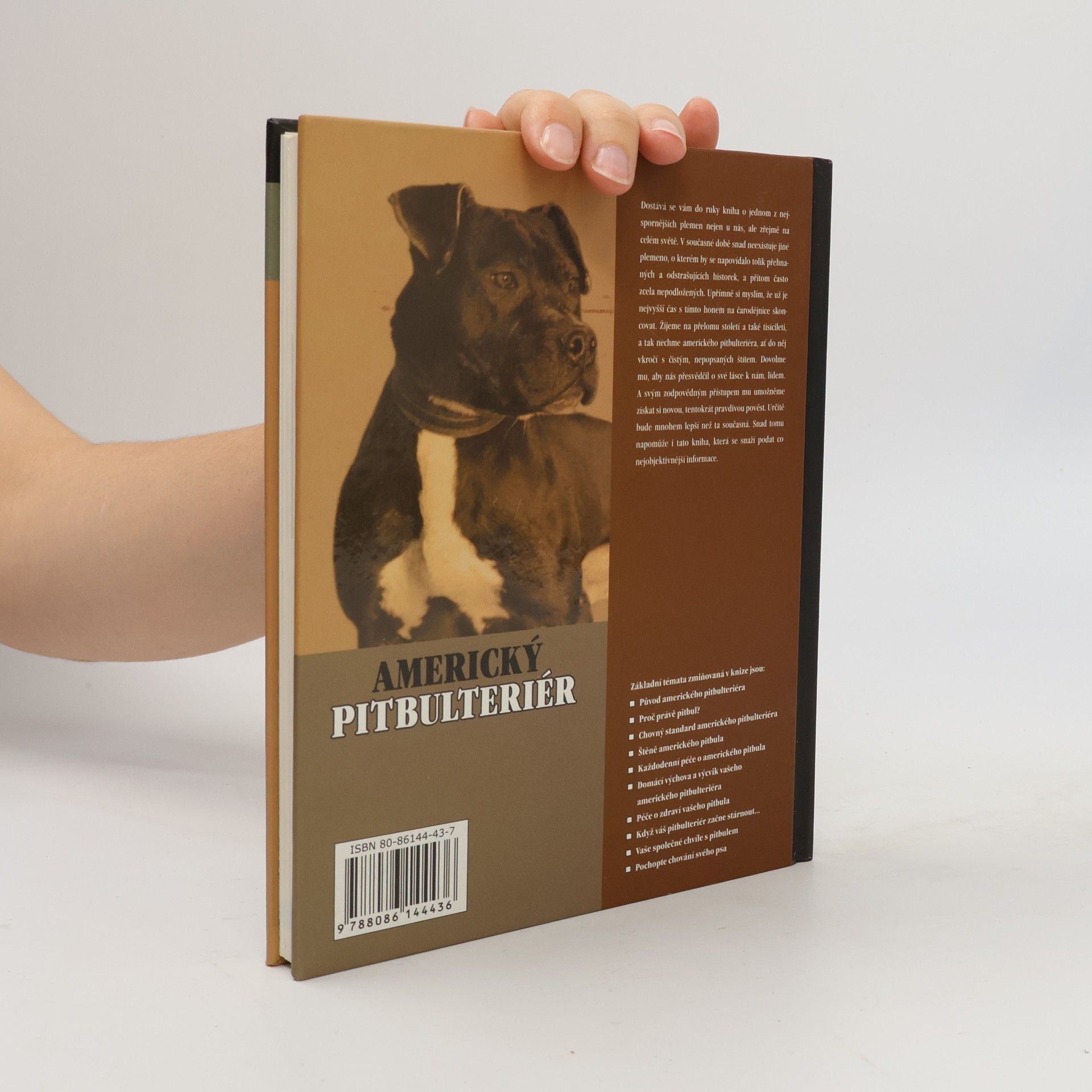 F. Favorito Americký pitbulteriér