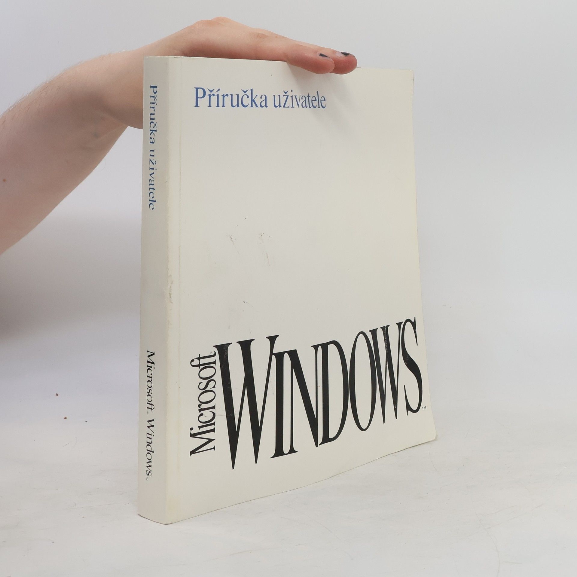 AA.VV. Microsoft Windows 3.1 Příručka uživatele