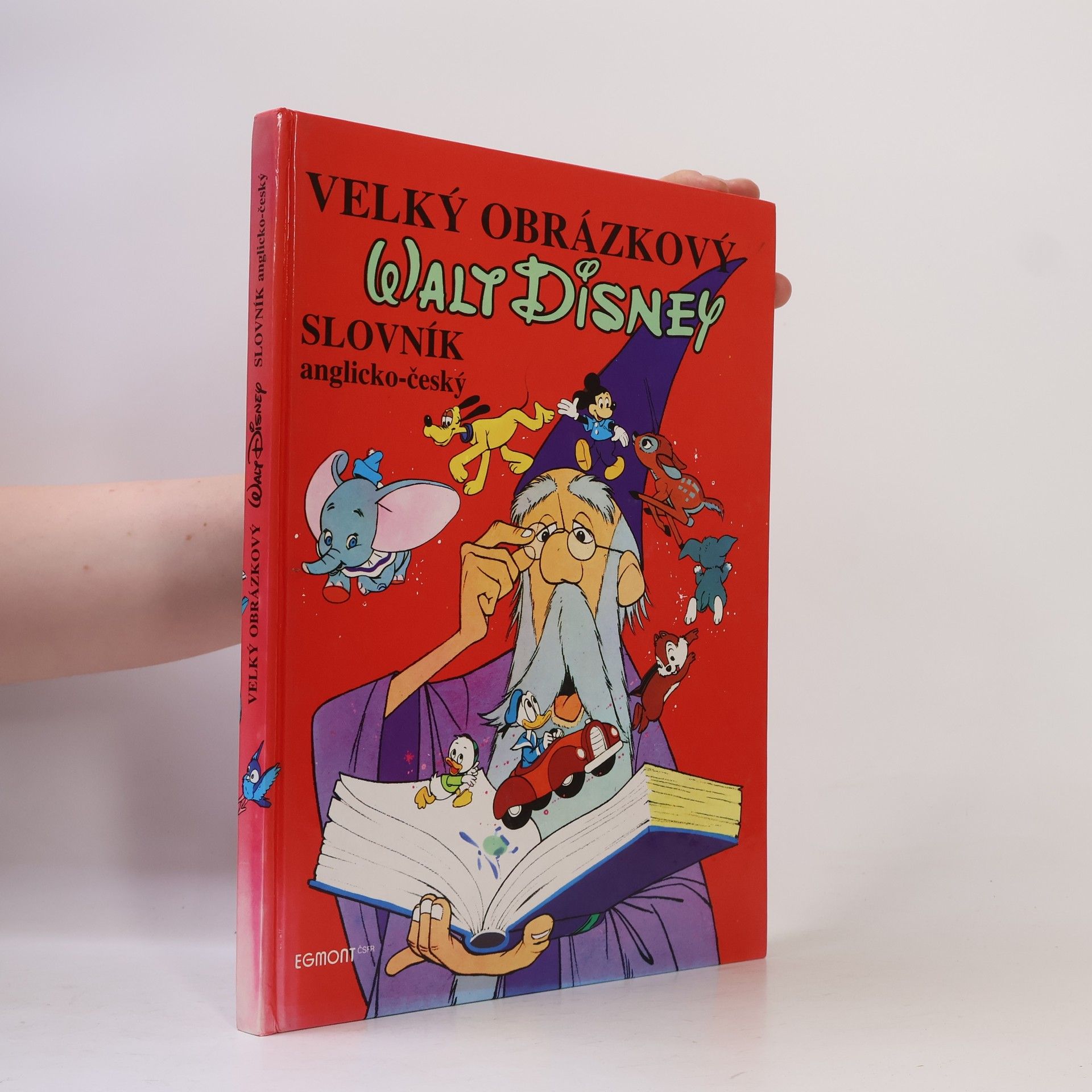 Walt Disney Velký obrázkový slovník anglicko-český