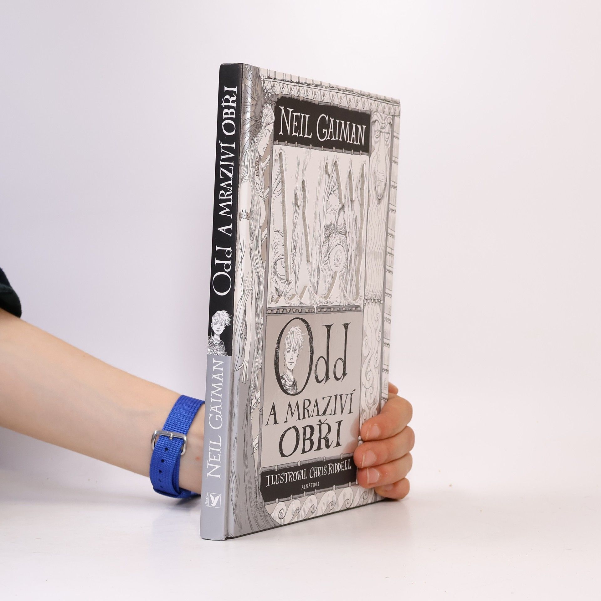 Neil Gaiman Odd a mraziví obři