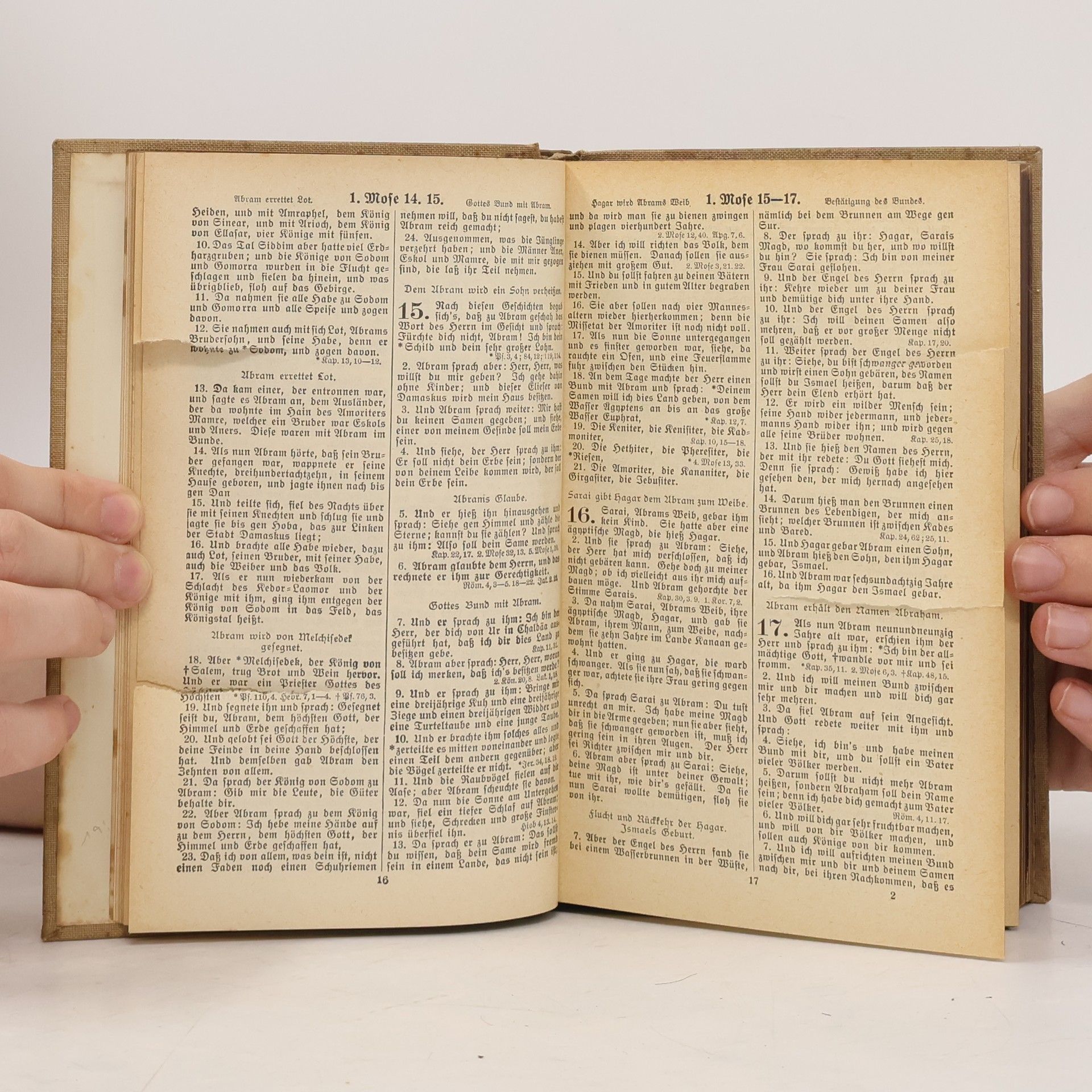 Martin Luther Die Heilige Schrift nach der Deutschen Übersetzung D. Martin Luthers
