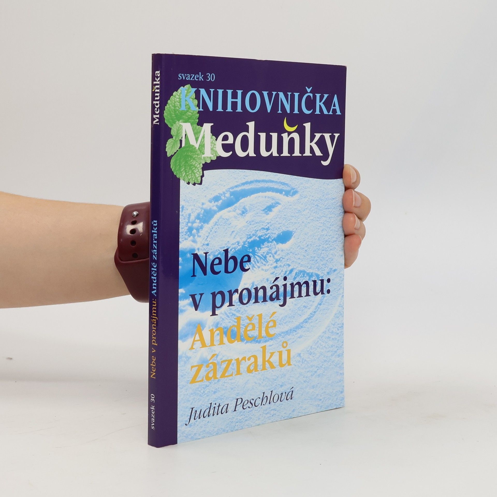 Judita Peschlová Nebe v pronájmu. Andělé zázraků