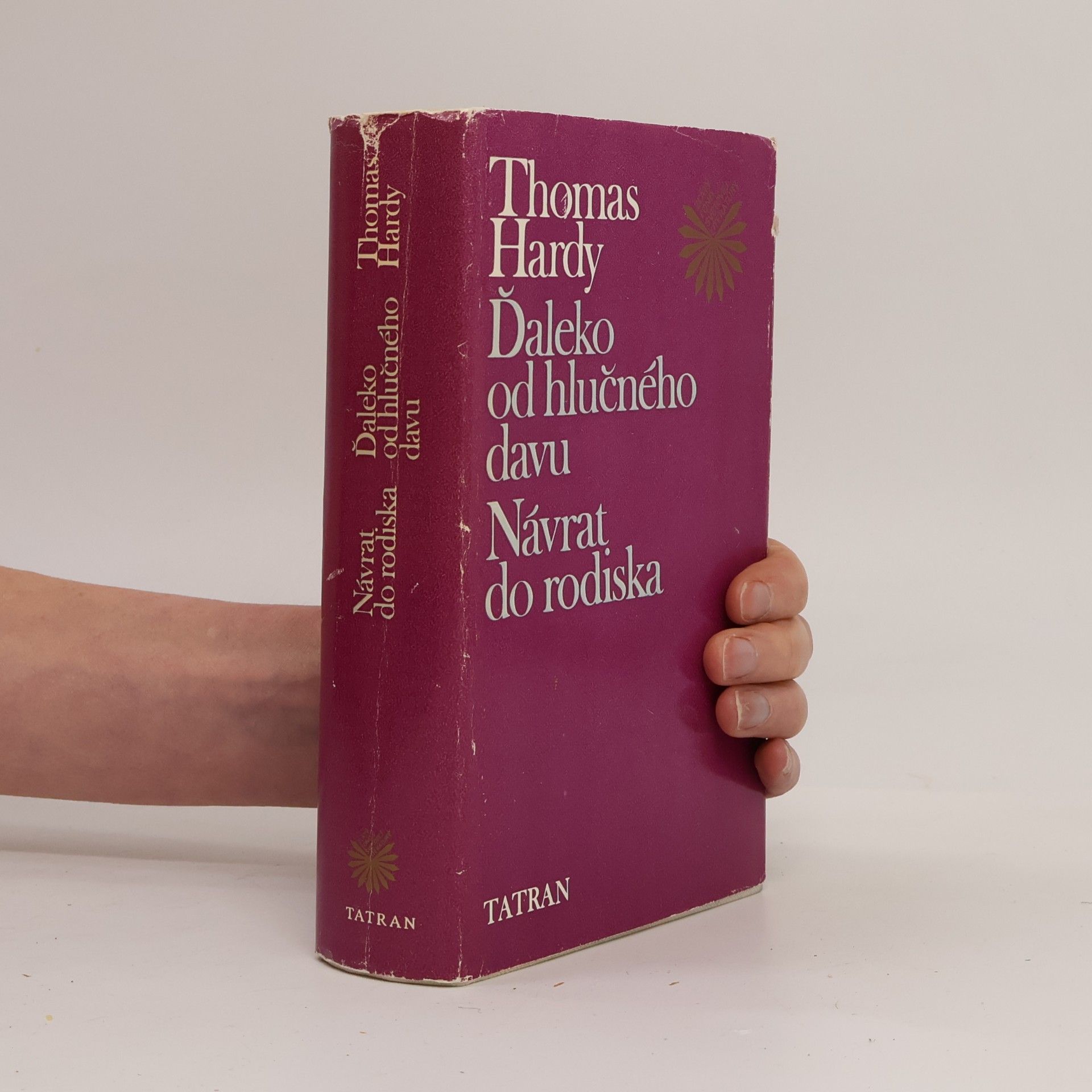 Thomas Hardy Ďaleko od hlučného davu. Návrat do rodiska