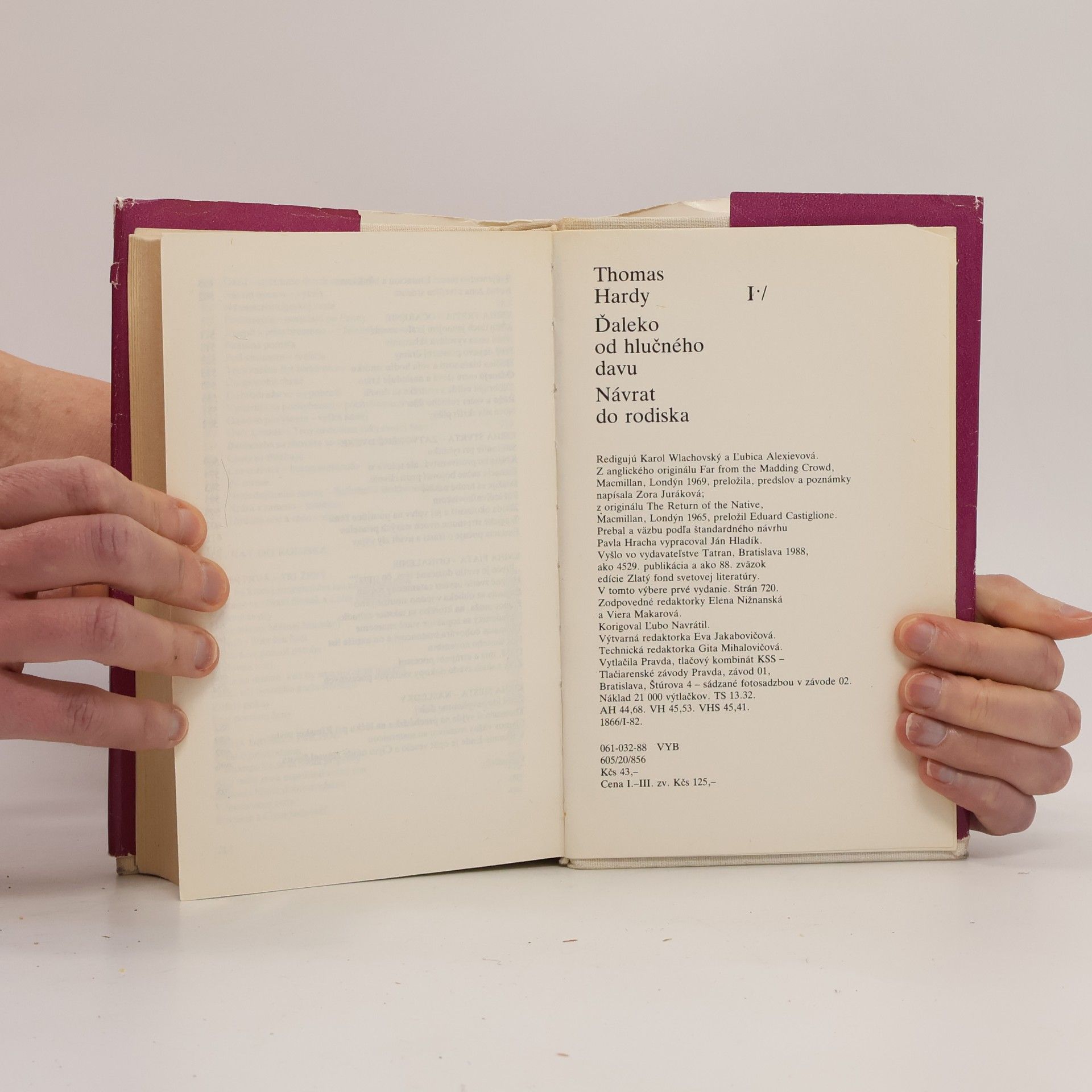 Thomas Hardy Ďaleko od hlučného davu. Návrat do rodiska