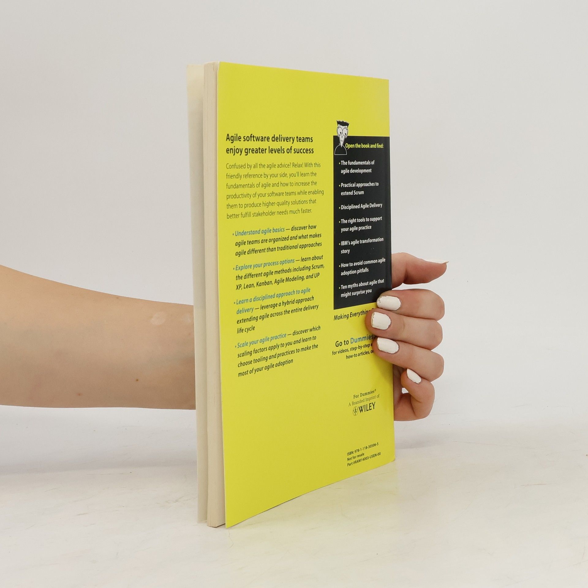 Scott Ambler Agile for dummies IBM limited edition