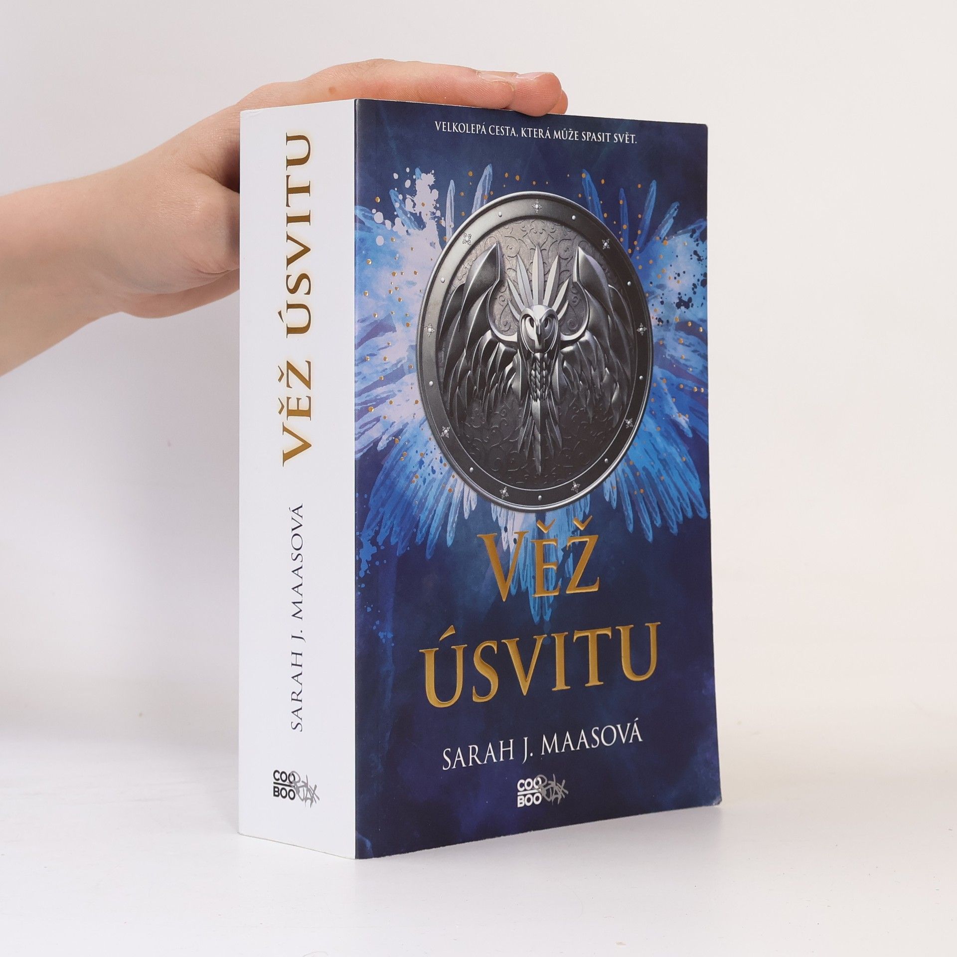 Sarah J. Maas Věž úsvitu