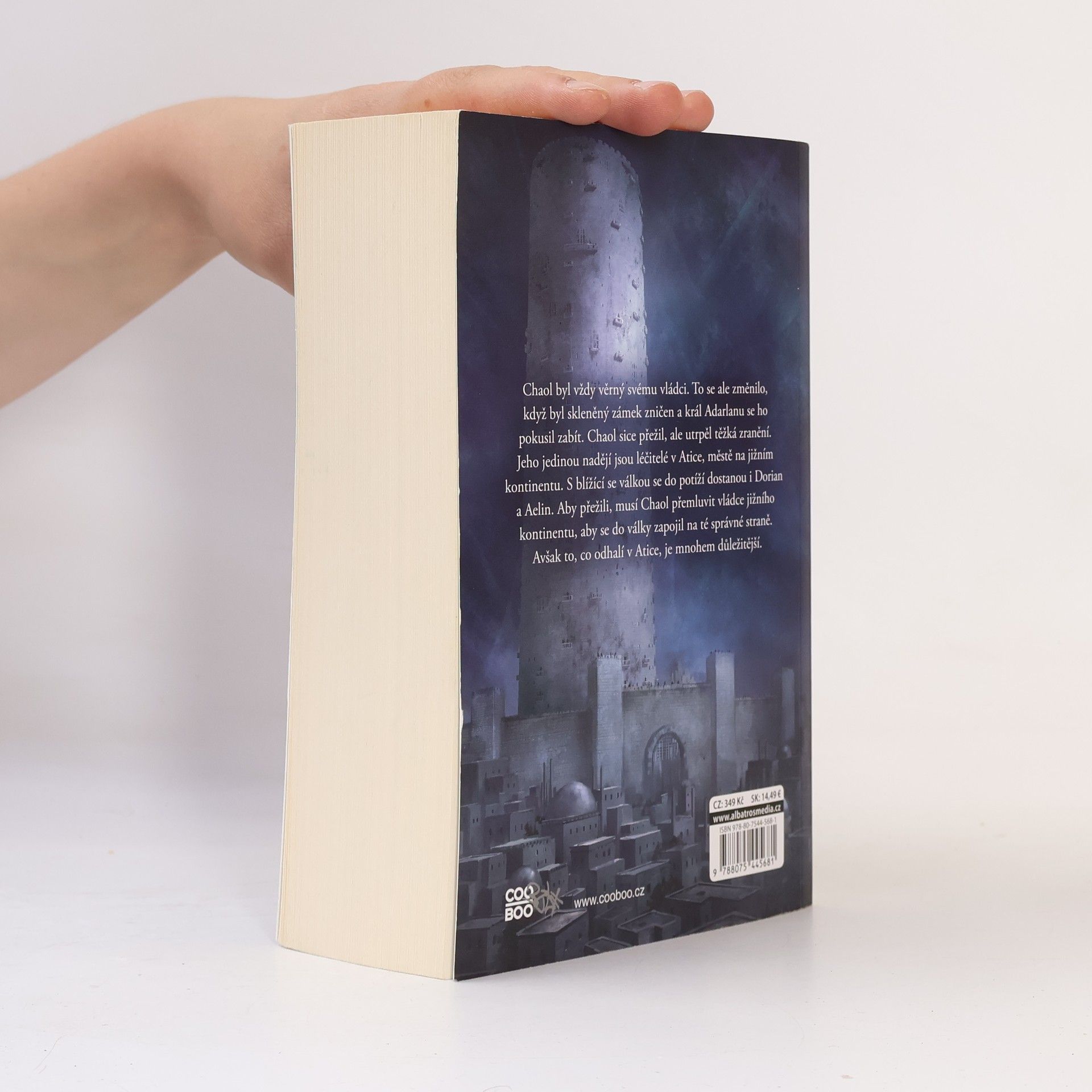 Sarah J. Maas Věž úsvitu