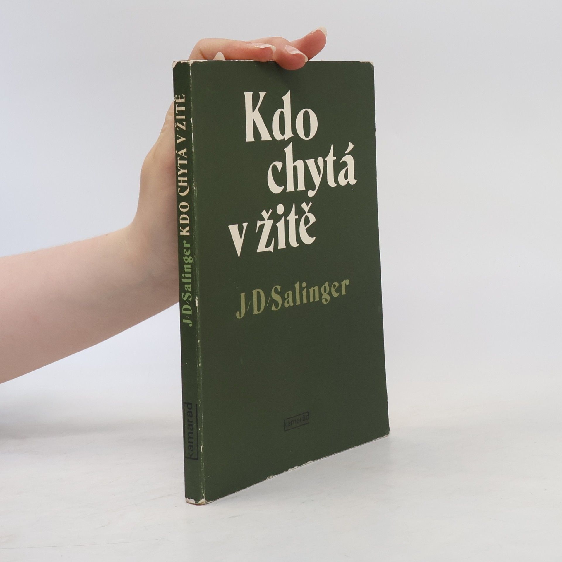 J. D. Salinger Kdo chytá v žitě