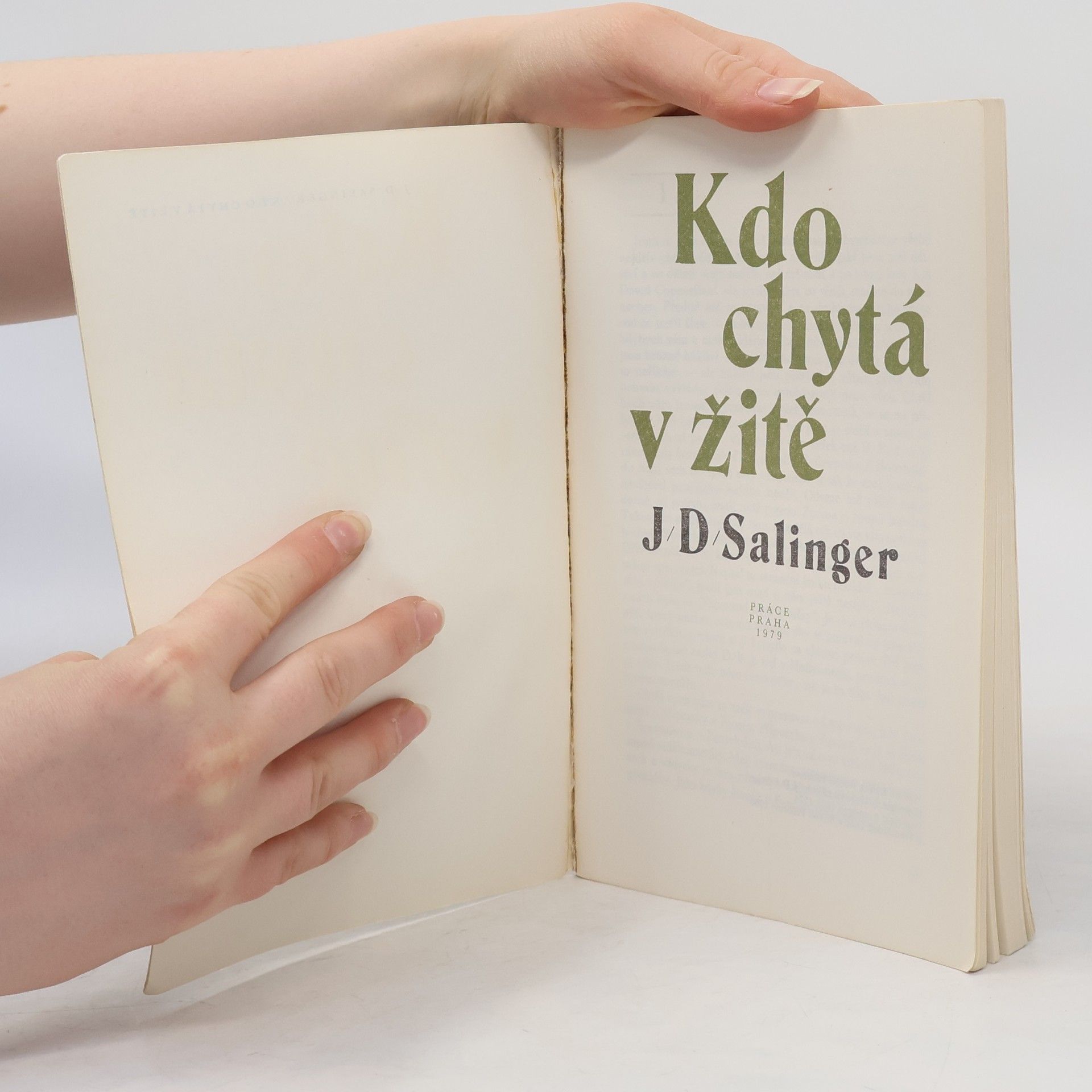 J. D. Salinger Kdo chytá v žitě