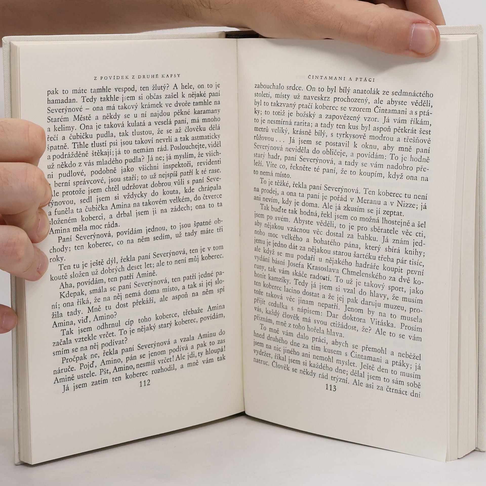 Karel Čapek Věčné dobrodružství