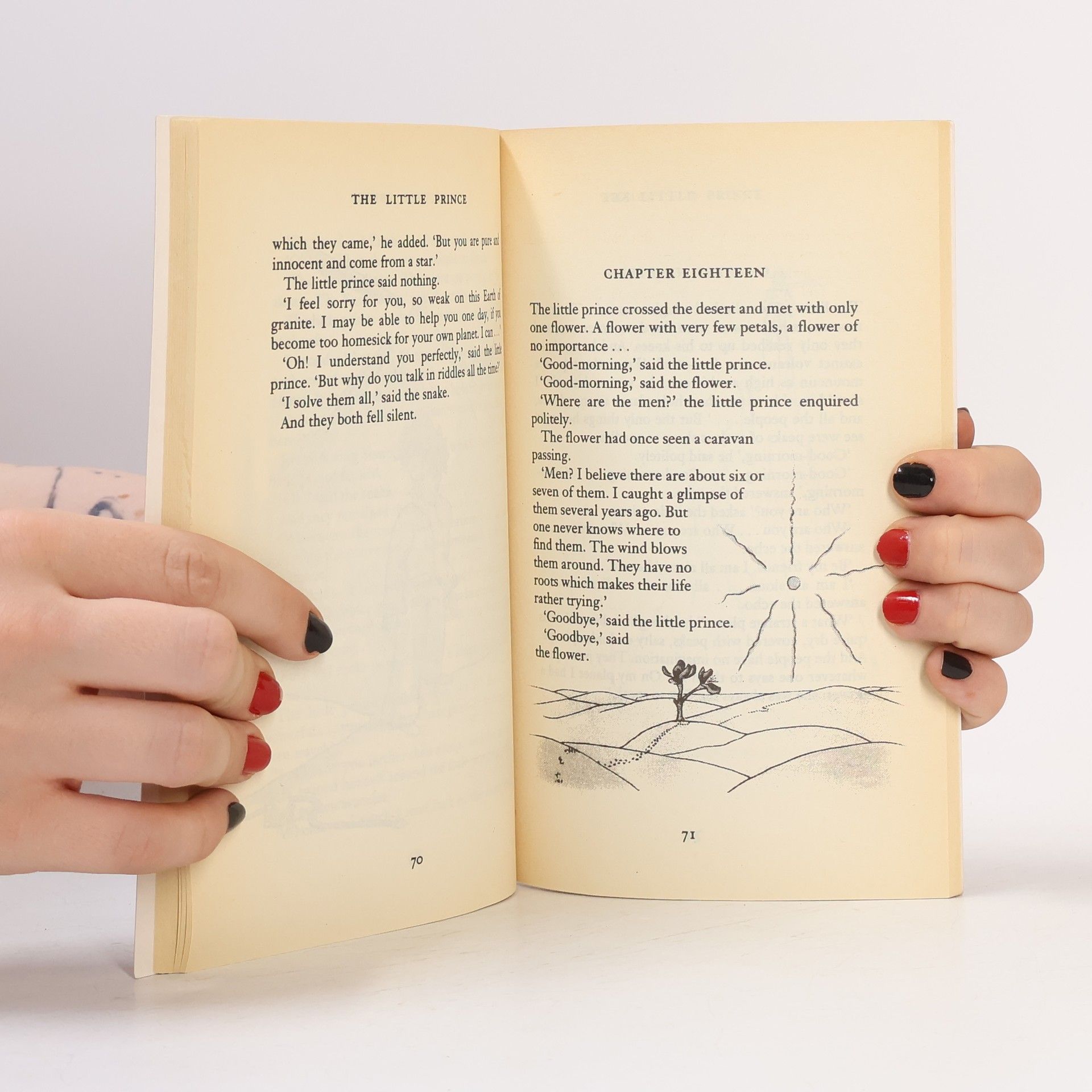 Antoine de Saint-Exupéry The Little Prince