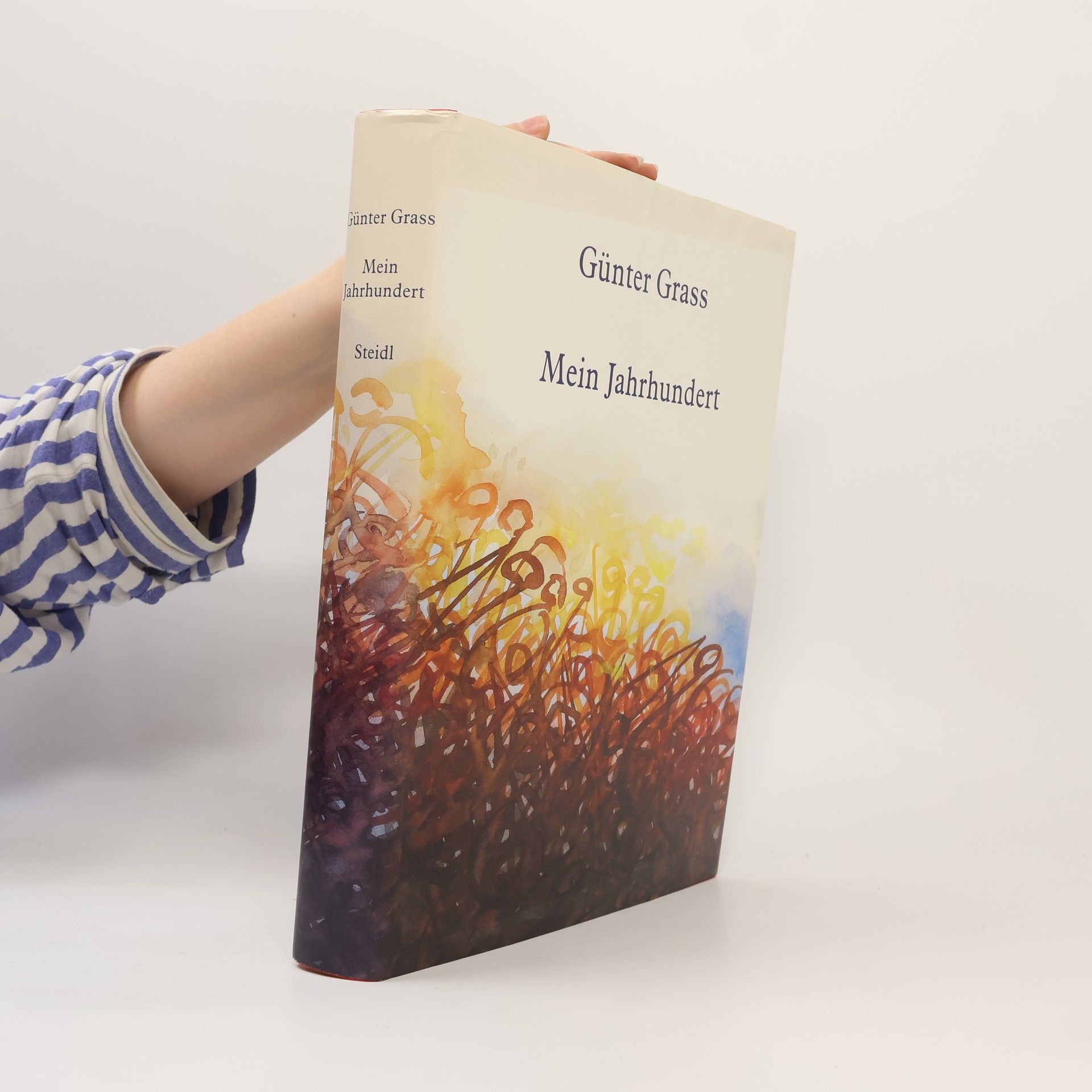 Günter Grass Mein Jahrhundert